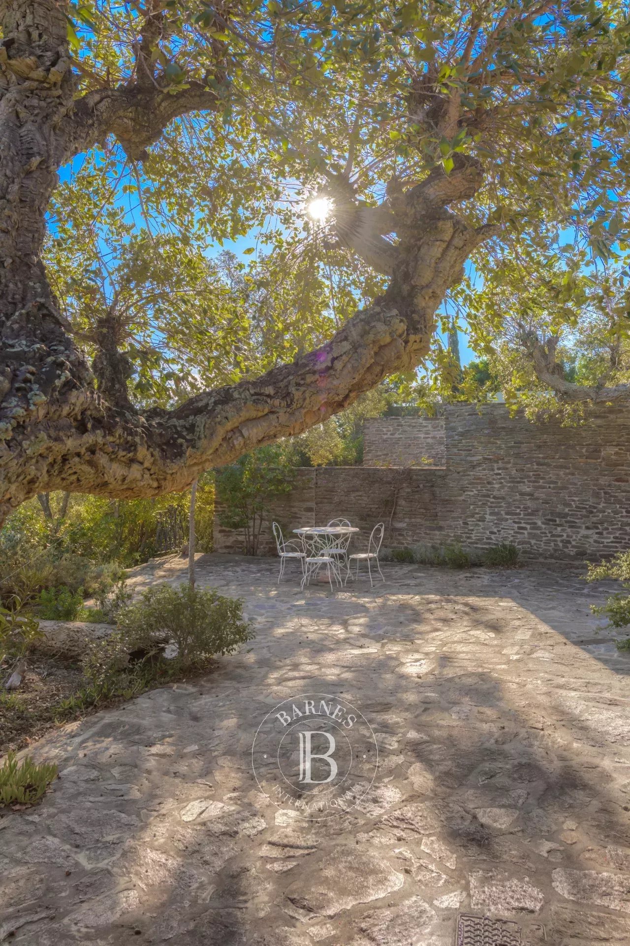 Ev Bormes-les-Mimosas - picture 20