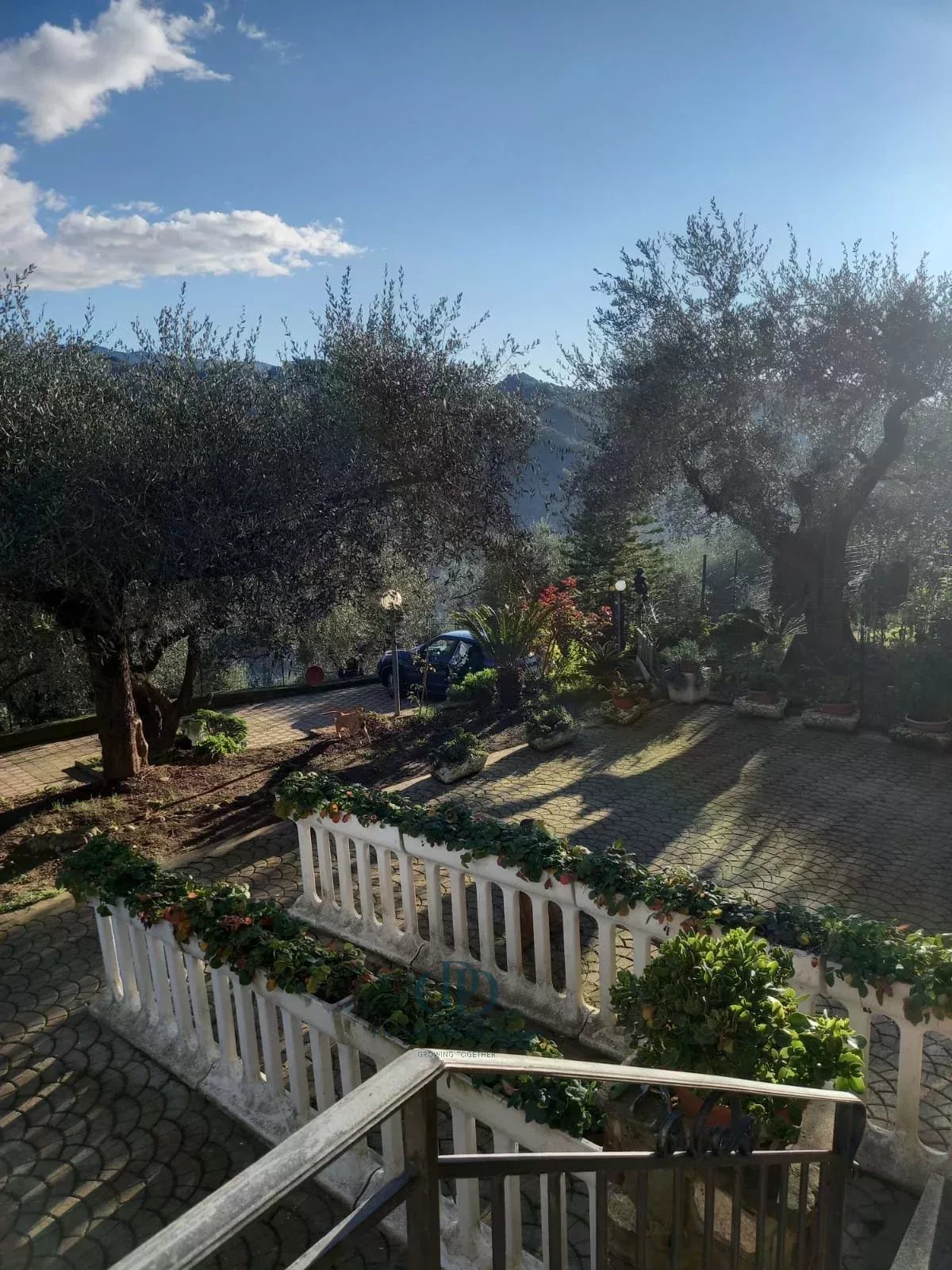 Villa Dolceacqua - picture 9