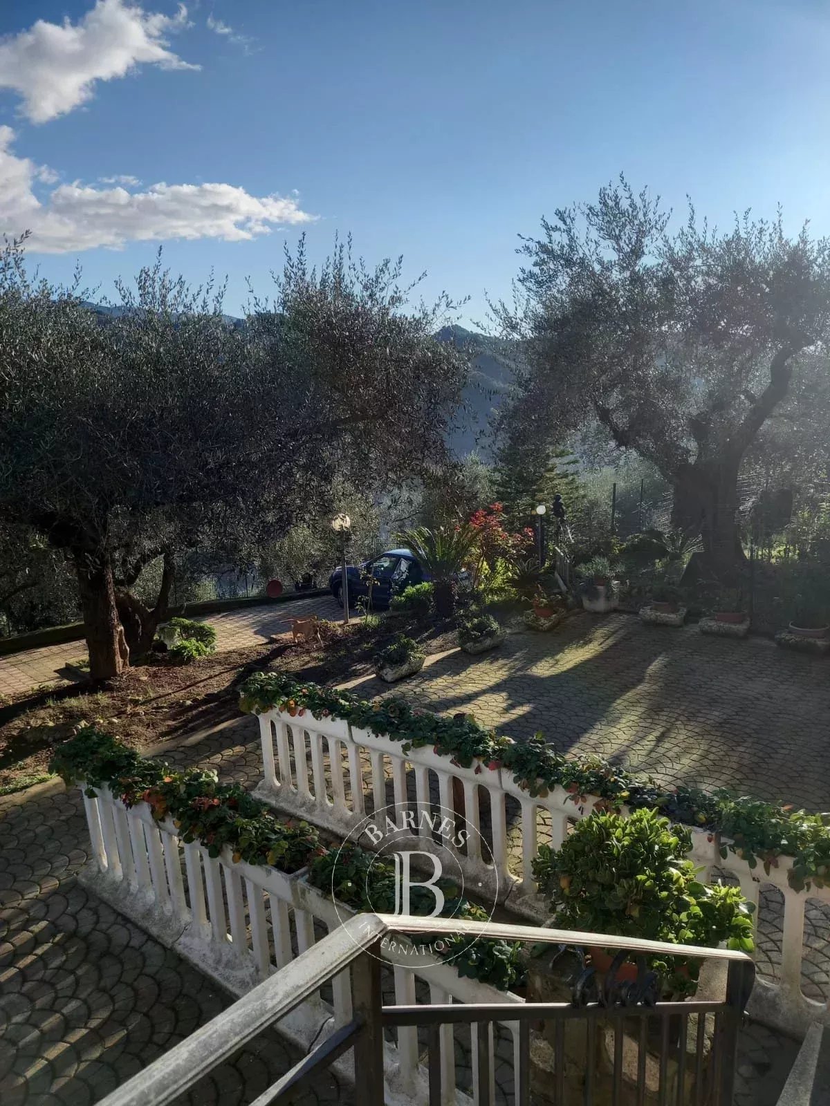 Villa Dolceacqua - picture 9