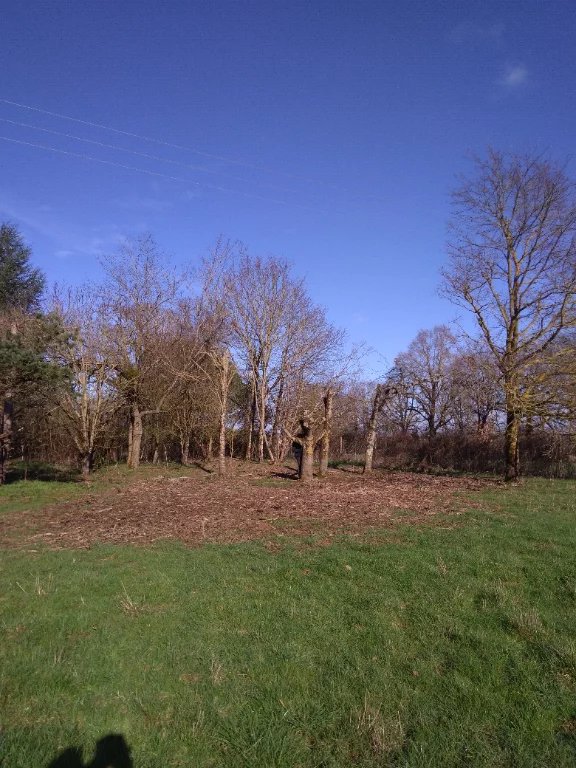Vente Terrain Lussac-les-Châteaux