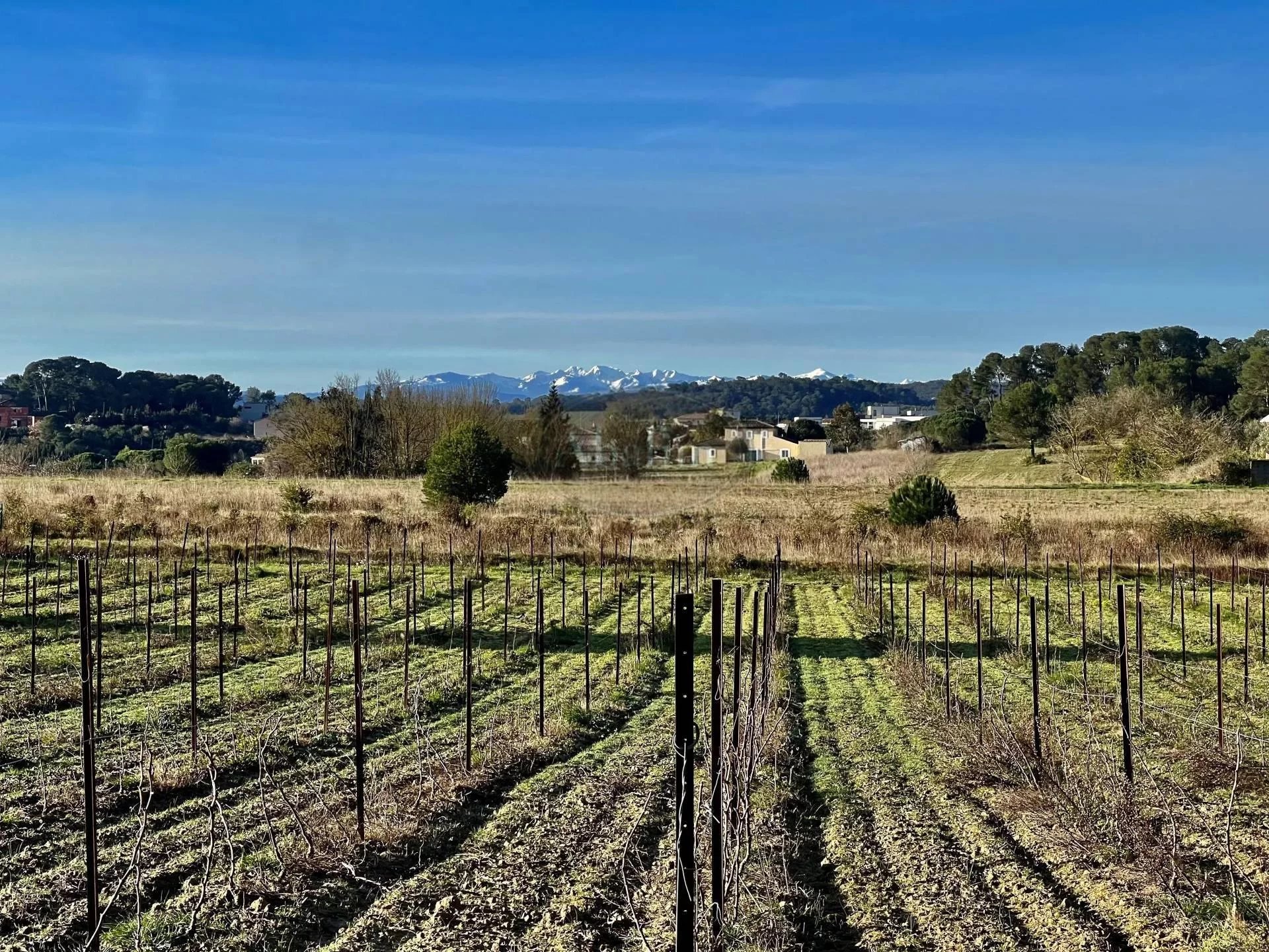Plain pied Carcassone vue Pyrénées 182m² - Carcassonne (11000)