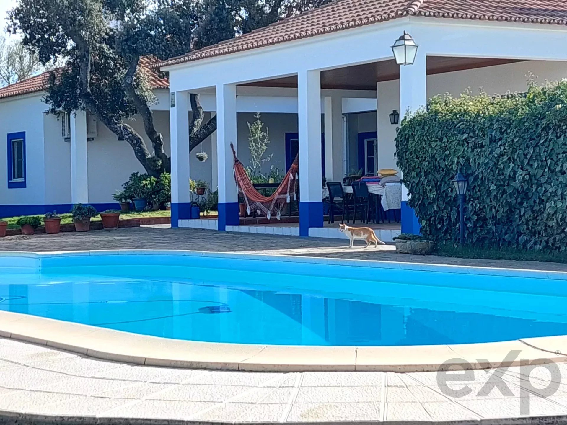 Charming Monte Alentejano and Wine Estate 86384492 image 35