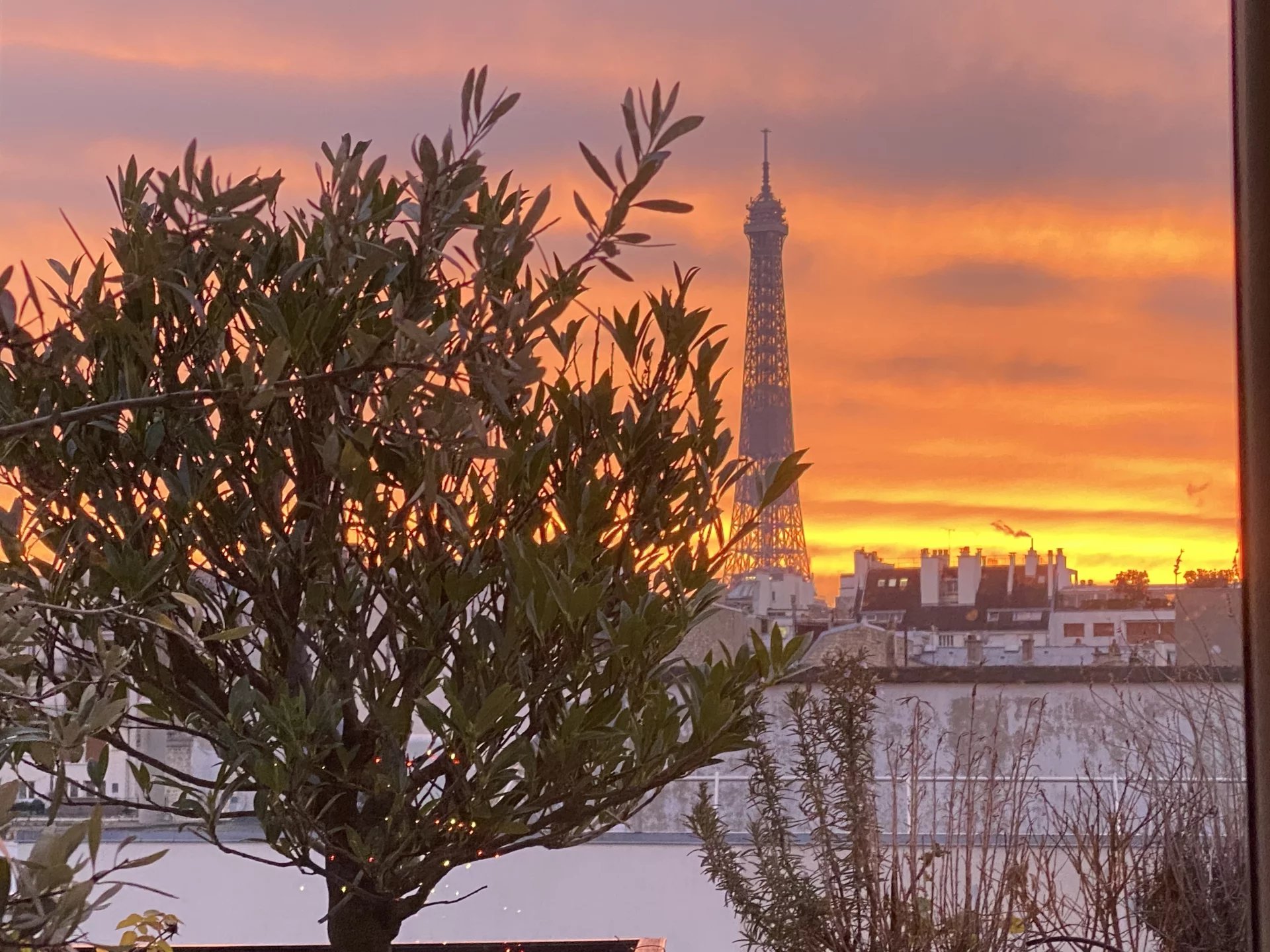 Sale Apartment Paris 16th