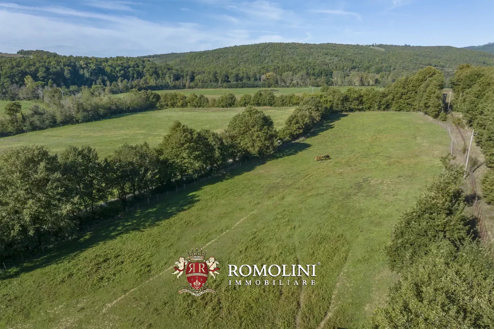 9 Bedroom Horse Property's Image 26