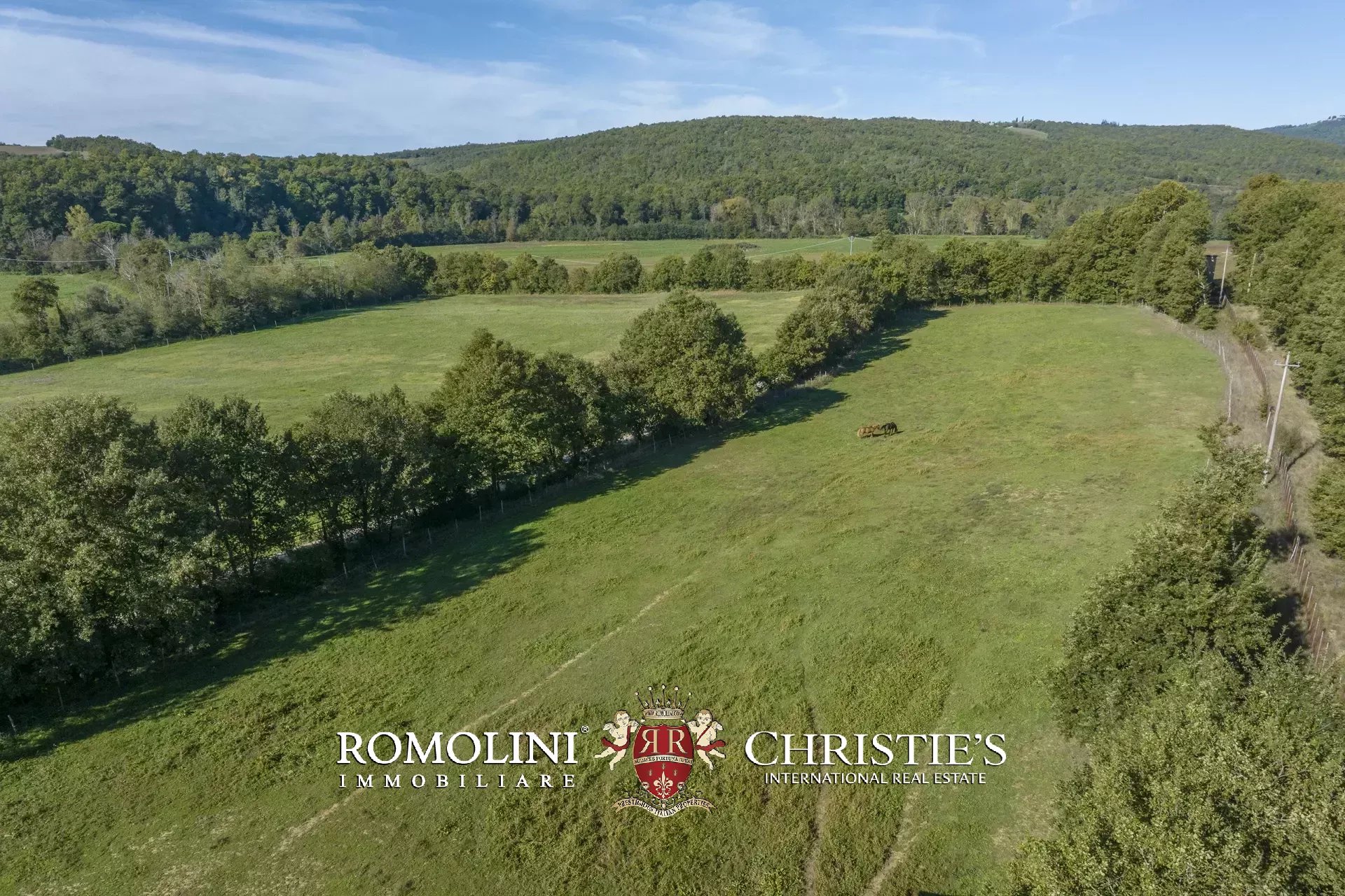 9 Bedroom Horse Property's Image 26