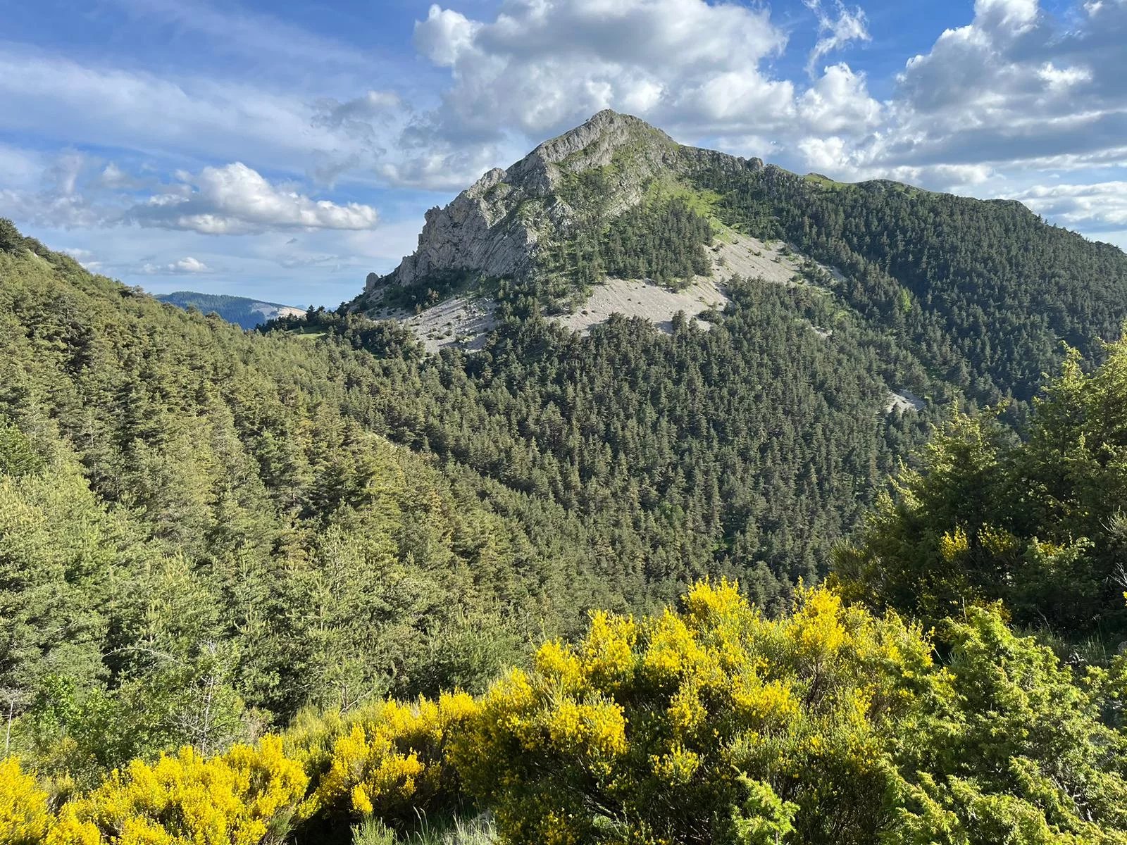 Zu verkaufen Jagdgebiet | Tartonne - picture 1