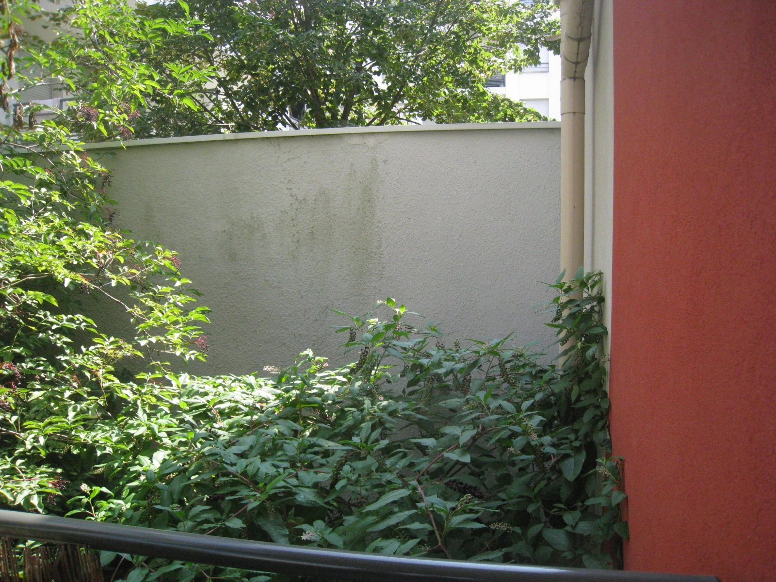 525145 Location Villeurbanne