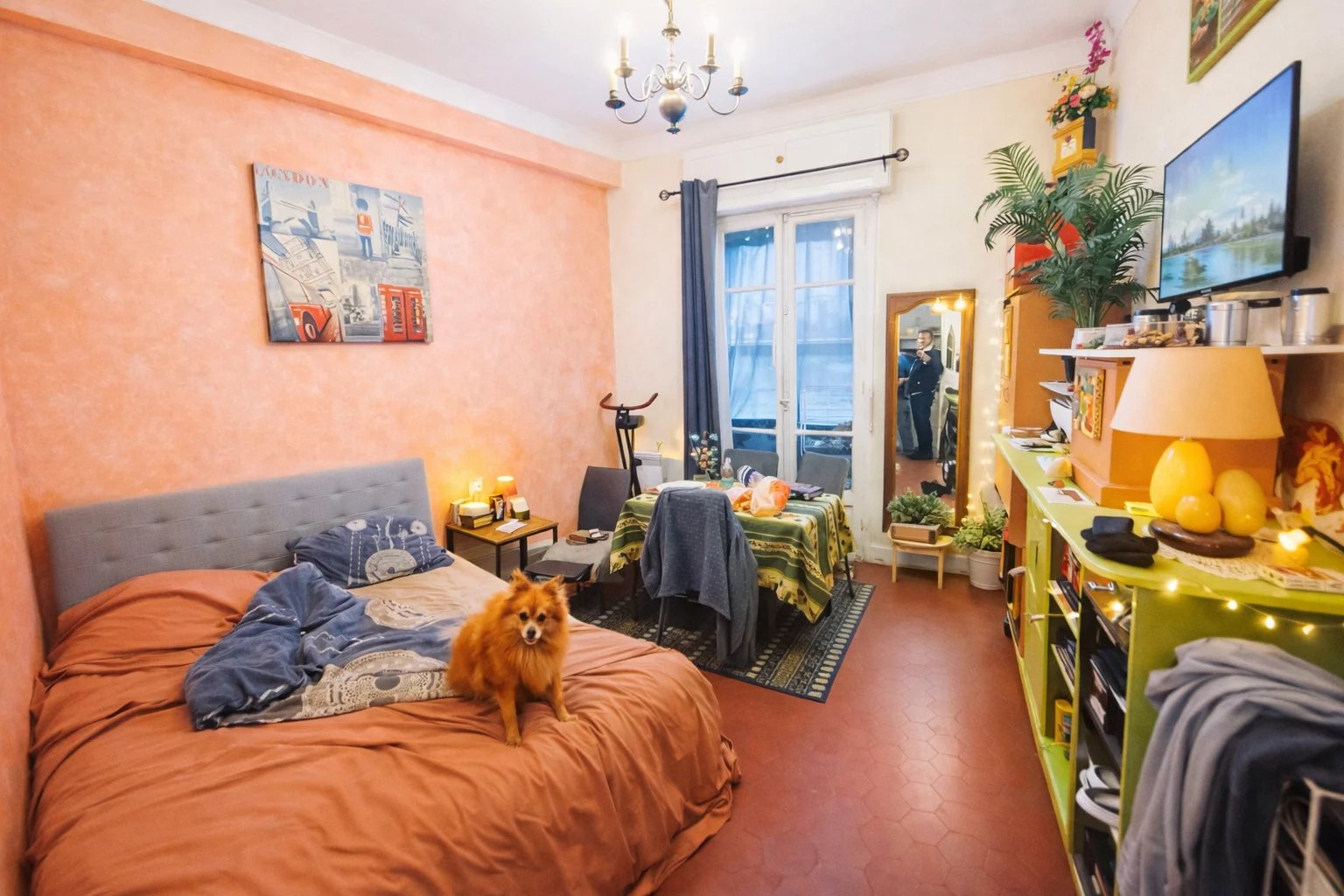 Studio loué - 103 Cessole - 31m2