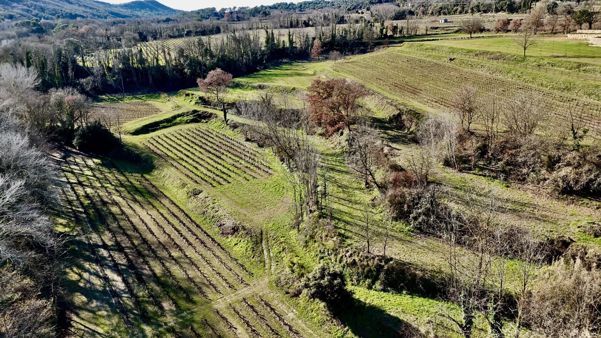 8 Bedroom Vineyard's Image 6