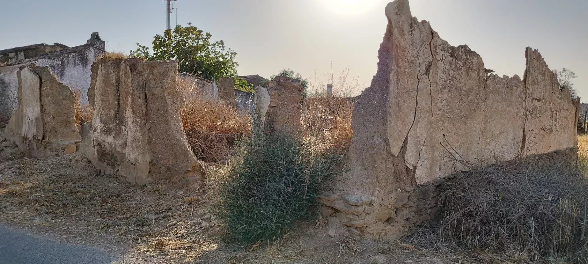 Baixo Alentejo - 55.9 ha of Freedom and Potential in Baixo Alentejo 85975961 image 10