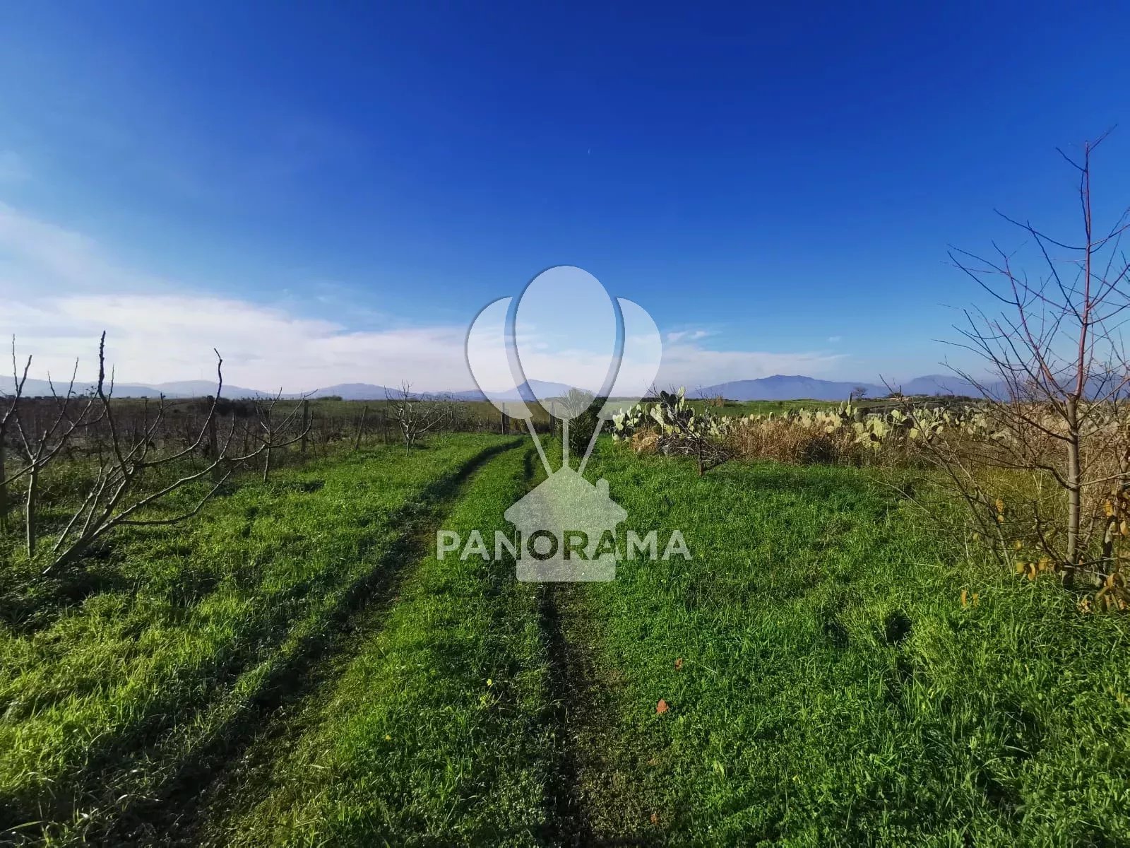 Vendita Terreno Partinico