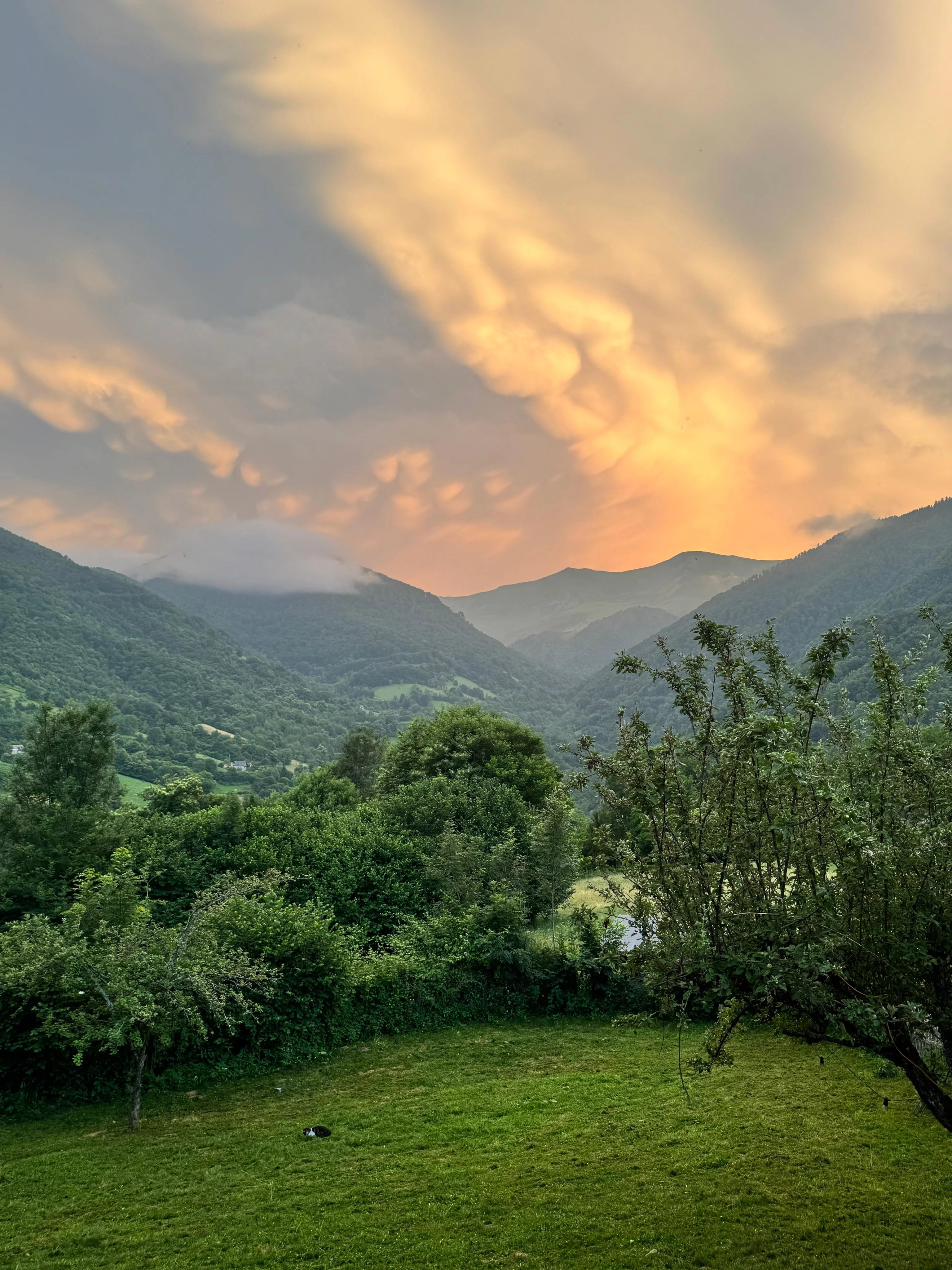 Maison à vendre Saint-Lary, Ariège