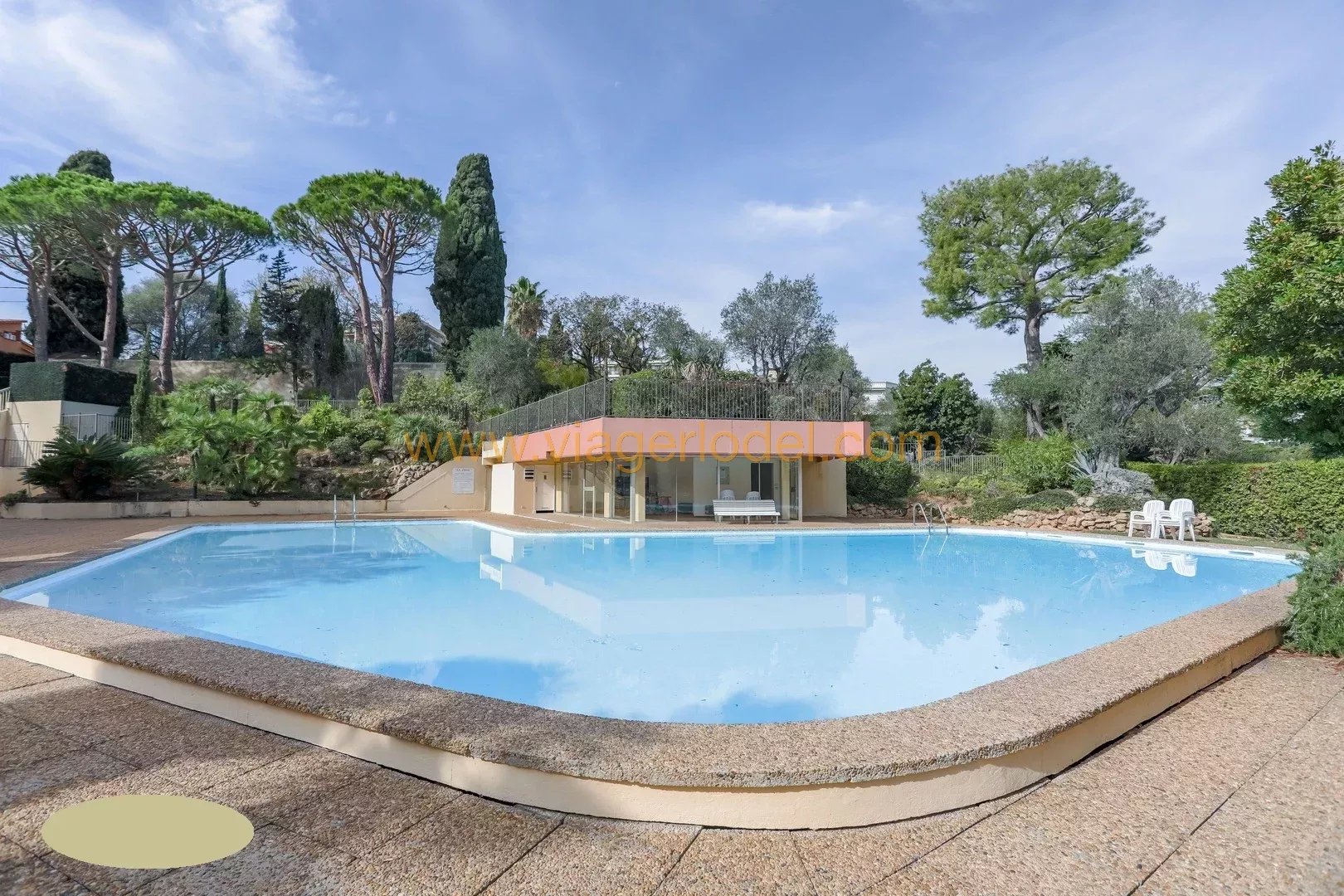 Ref. 9783 - LIFE ANNUITY - NICE (06) - Occupied 2-room apartment