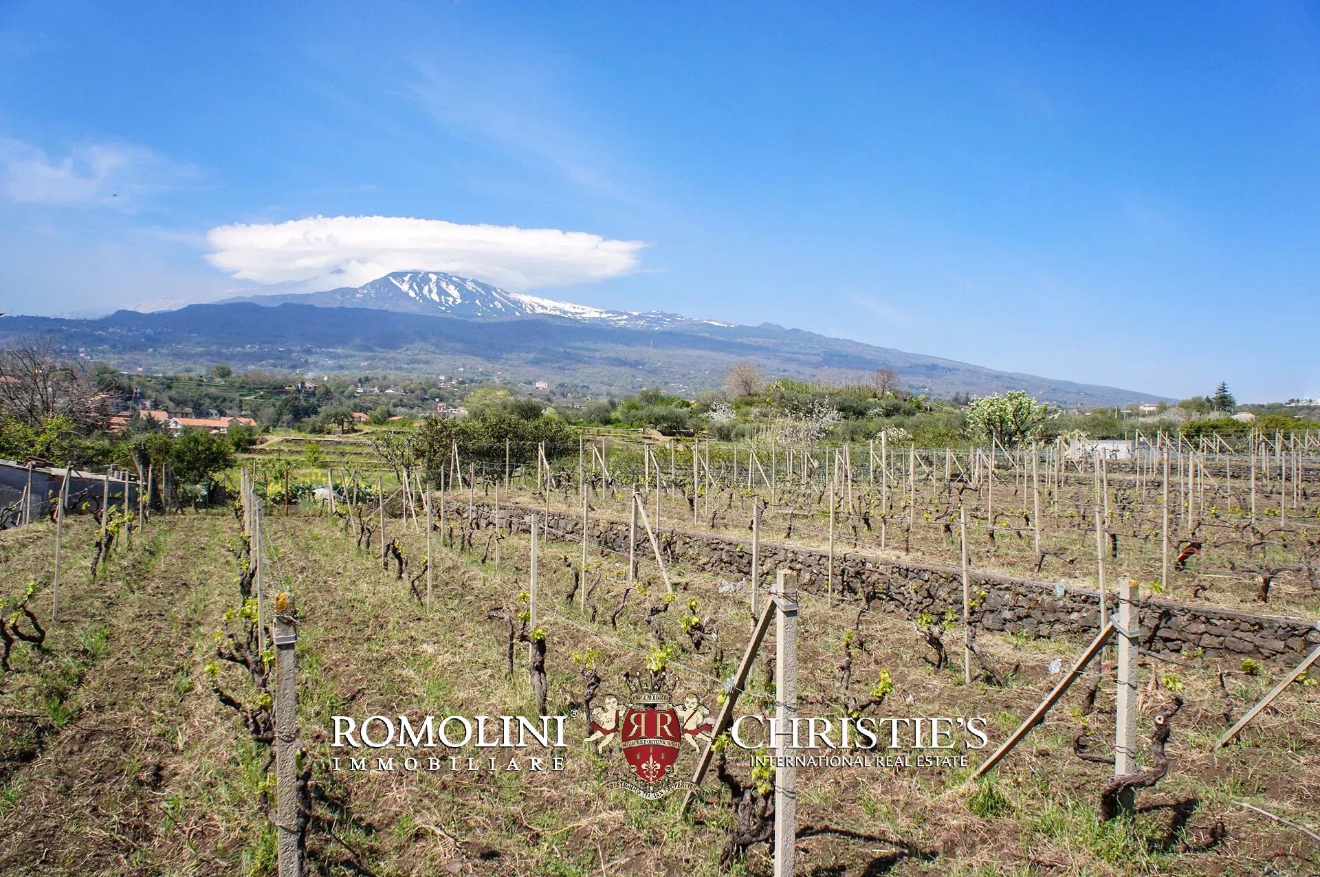 9 Bedroom Vineyard's Image 16