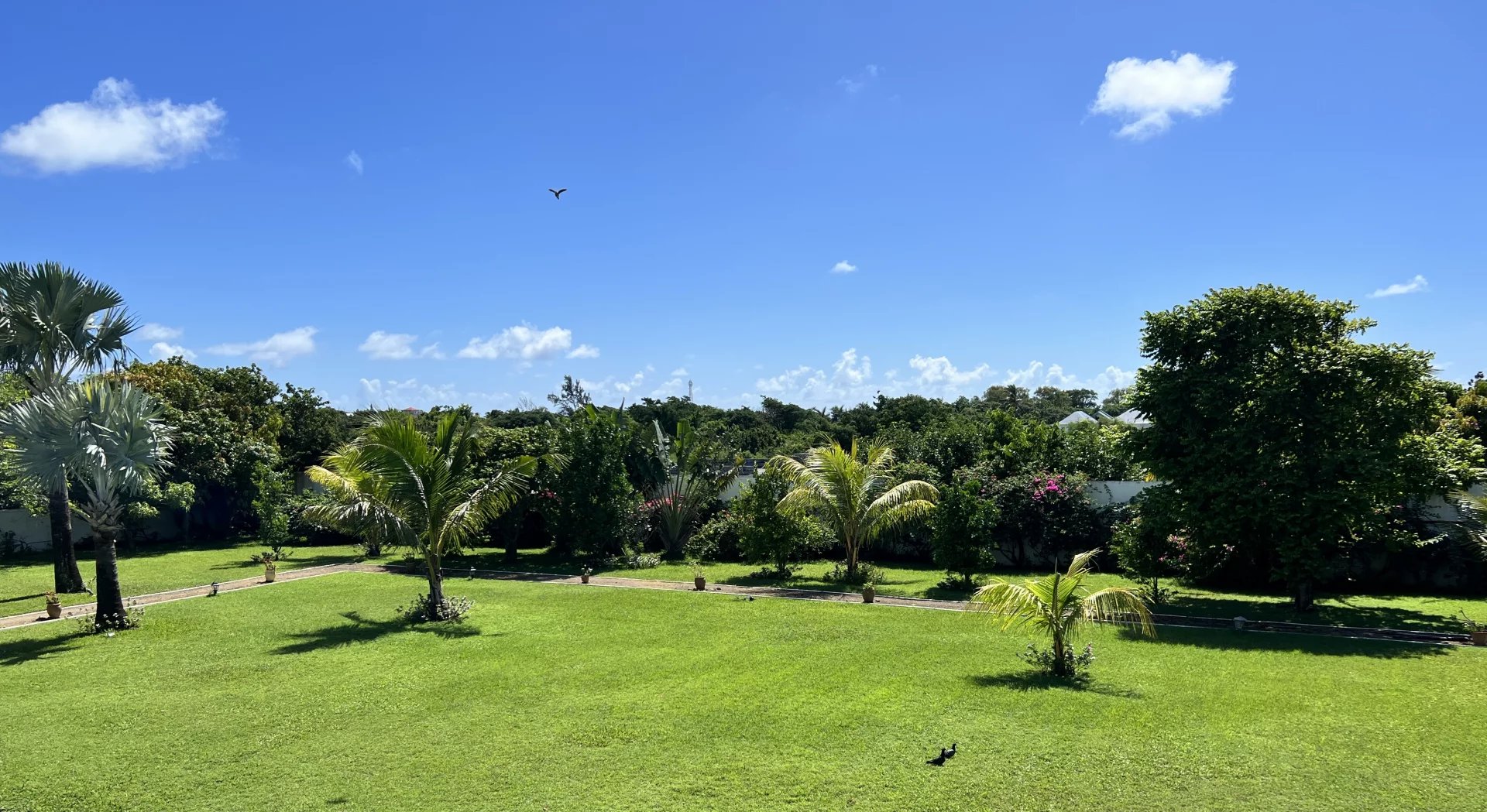 Villa Grand Gaube - picture 12 title=
