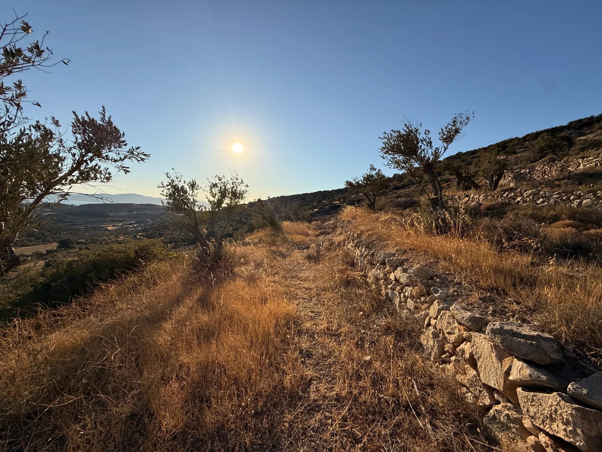 Εικόνα ιδιοκτησίας 14