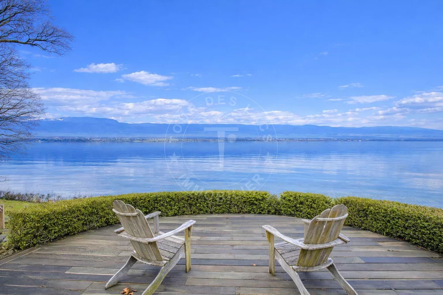 Agence immobilière de 