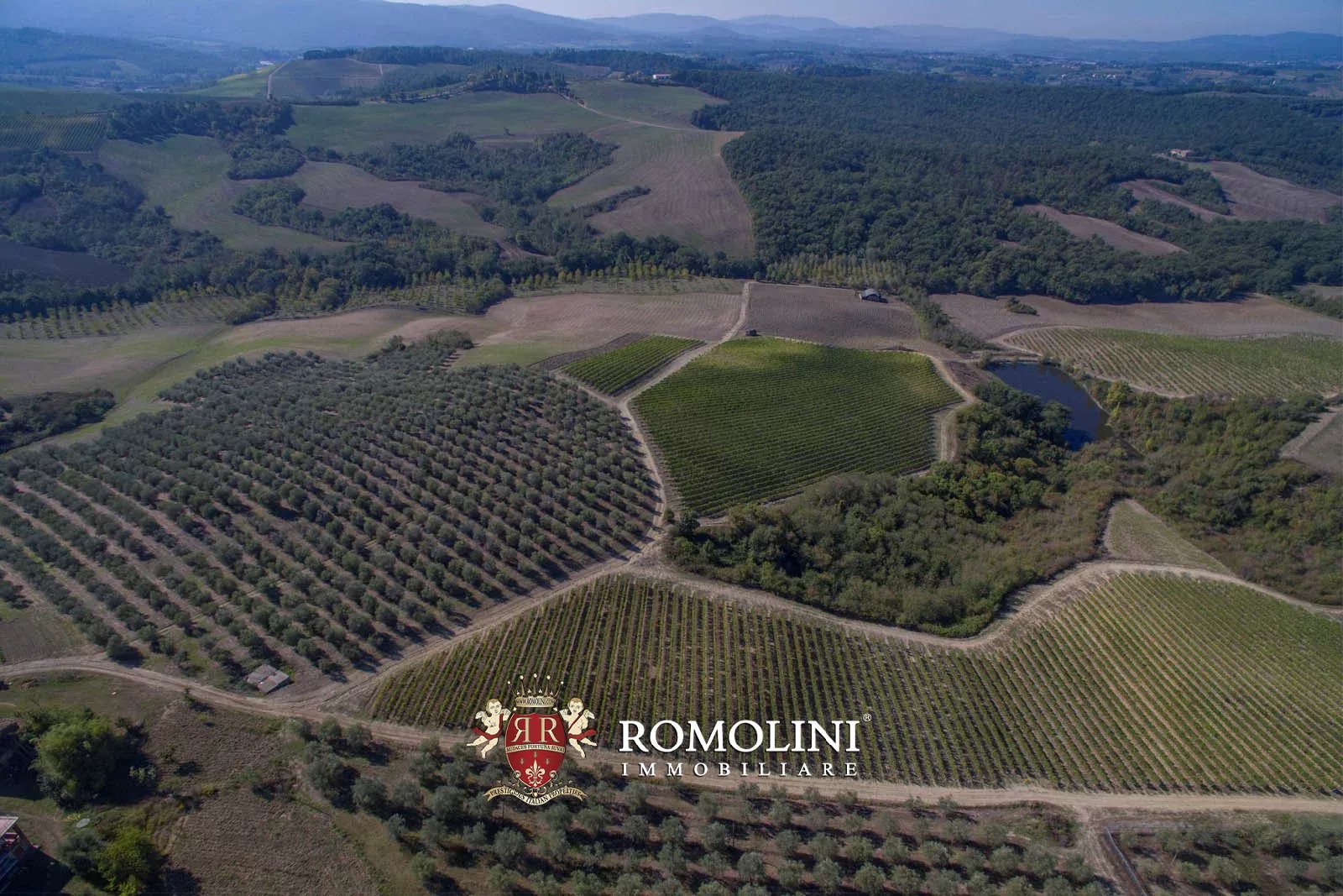 10 Bedroom Vineyard's Image 25