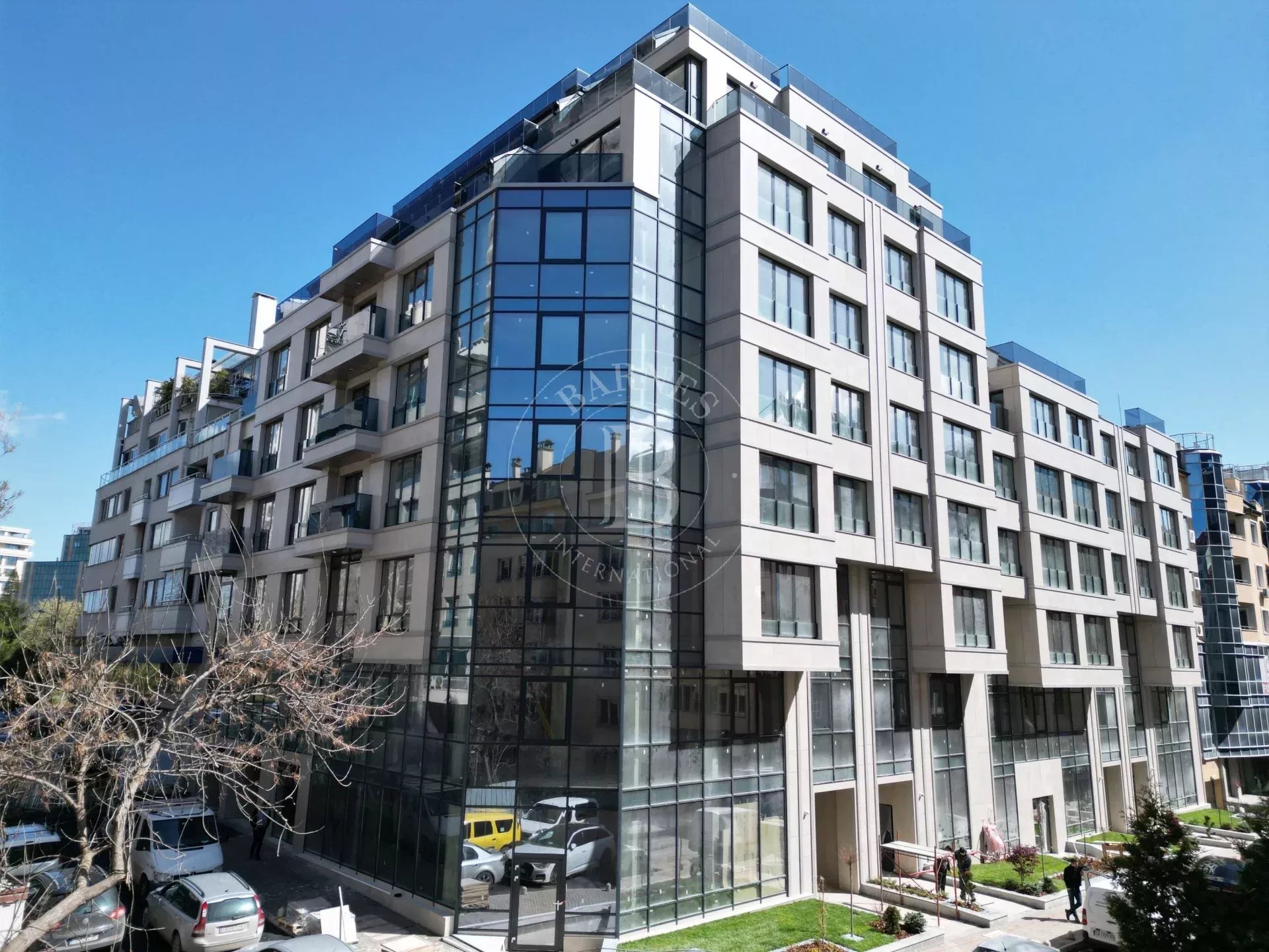 Local commercial Sofia  -  ref 6492585 (picture 2)