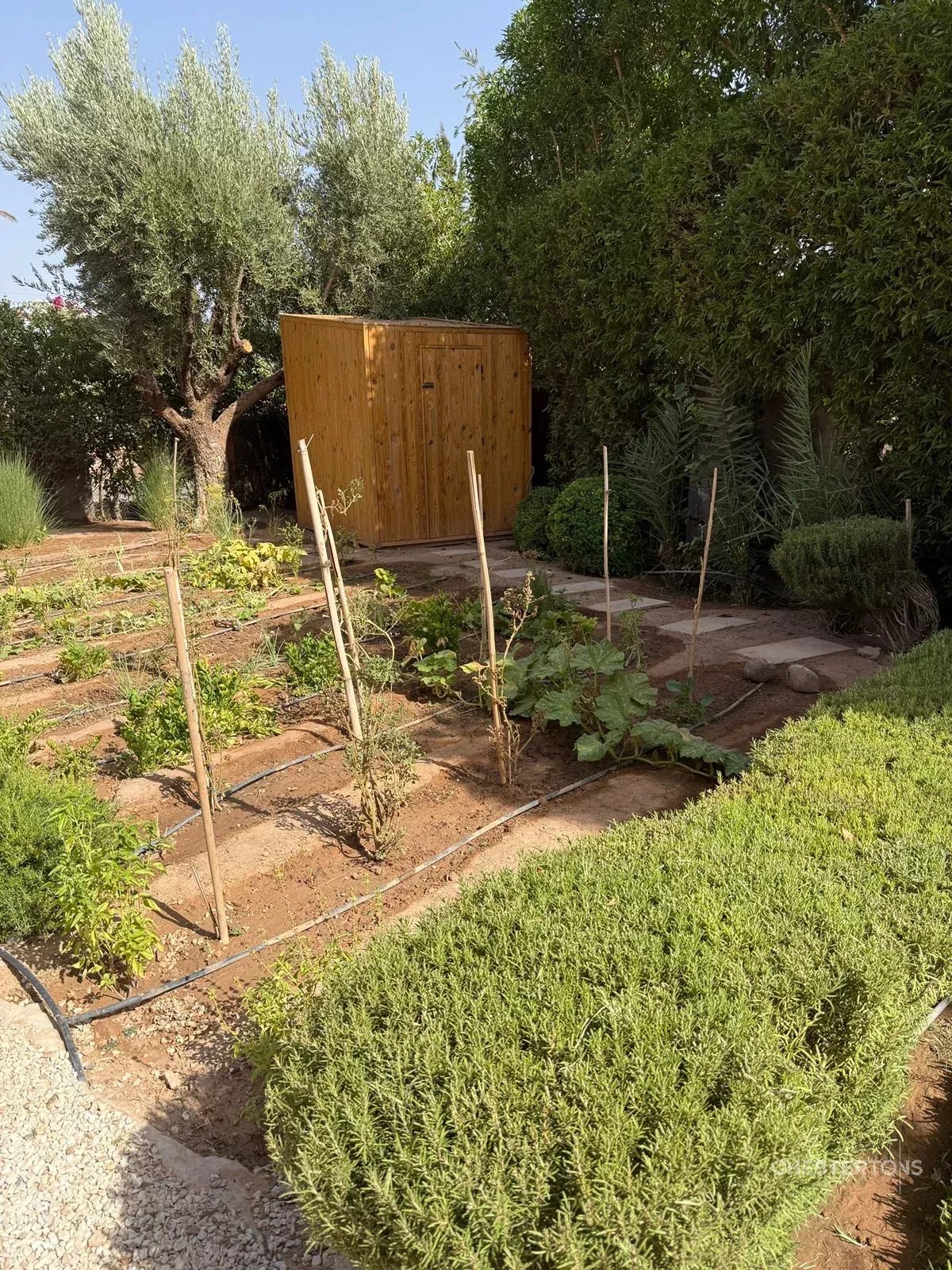 Image of Villa - 4 Bedrooms for Sale in Marrakech-Ménara-Marrakech-Morocco, Image 36