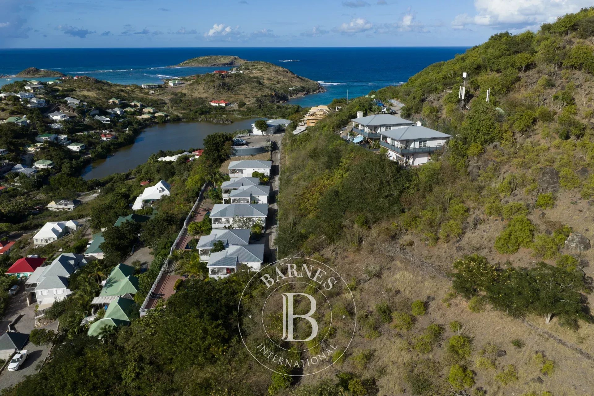 Appartement Saint-Barthélemy  -  ref 87265901 (picture 3)