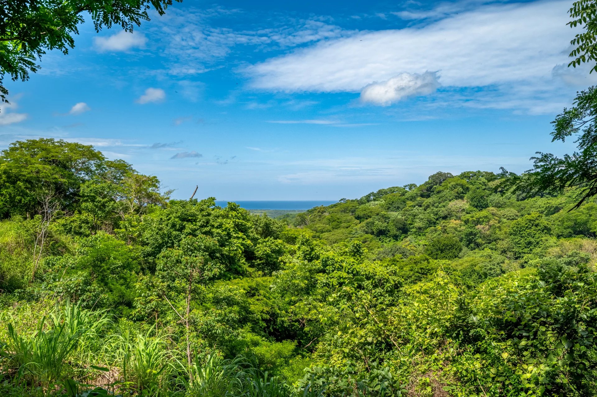 Venta Terreno Santa Cruz