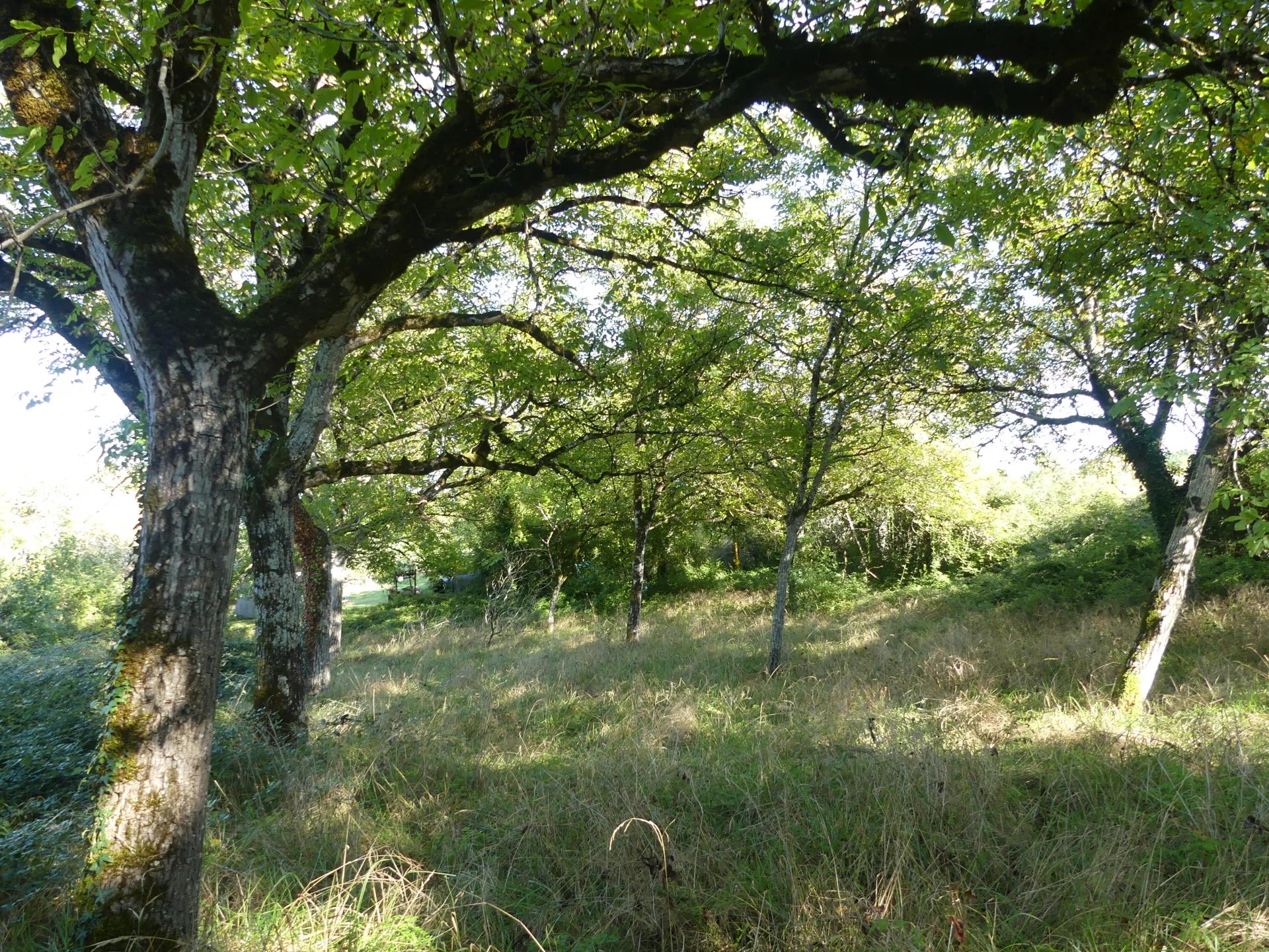 Agence immobilière de FUTUR TRANSACTIONS BRANTOME