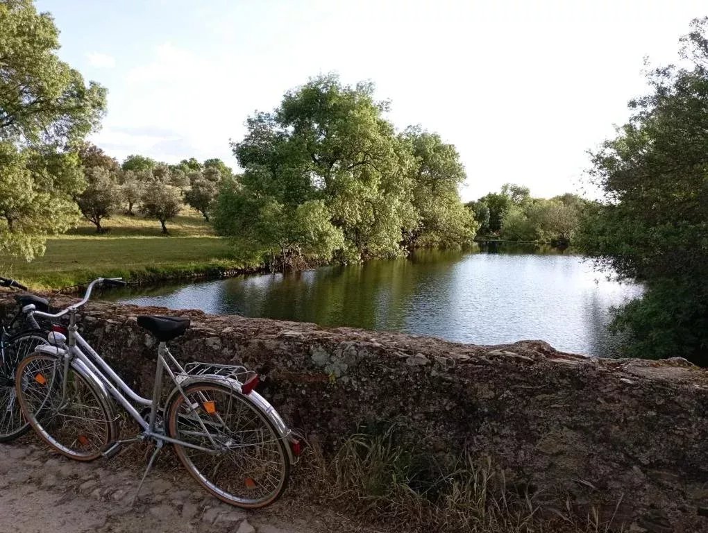 5-Bedroom Villa (2 x 3-Bedroom + 1 x 2-Bedroom Units) 86873882 image 61