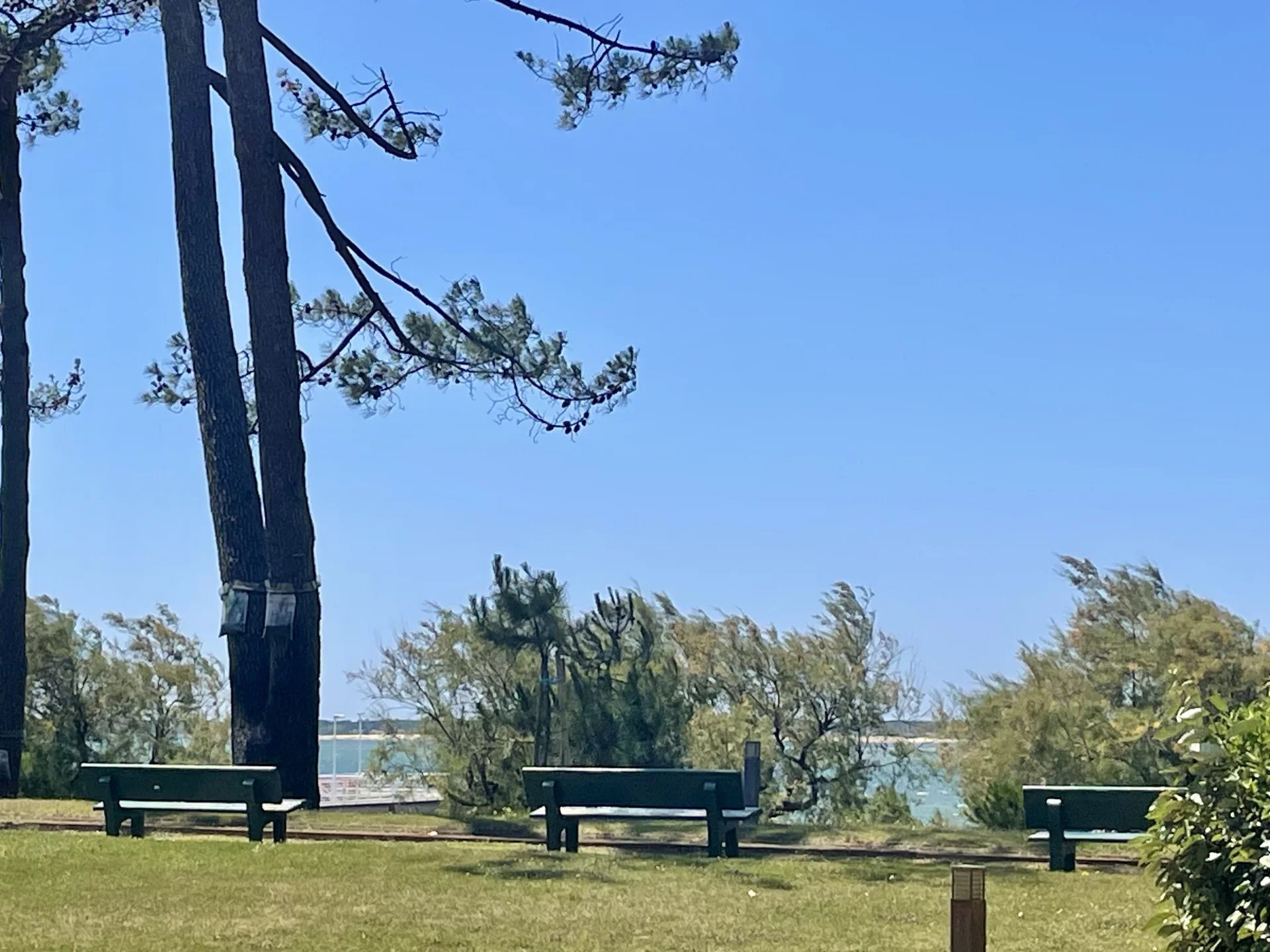 Agence immobilière de Moulleau Immobilier