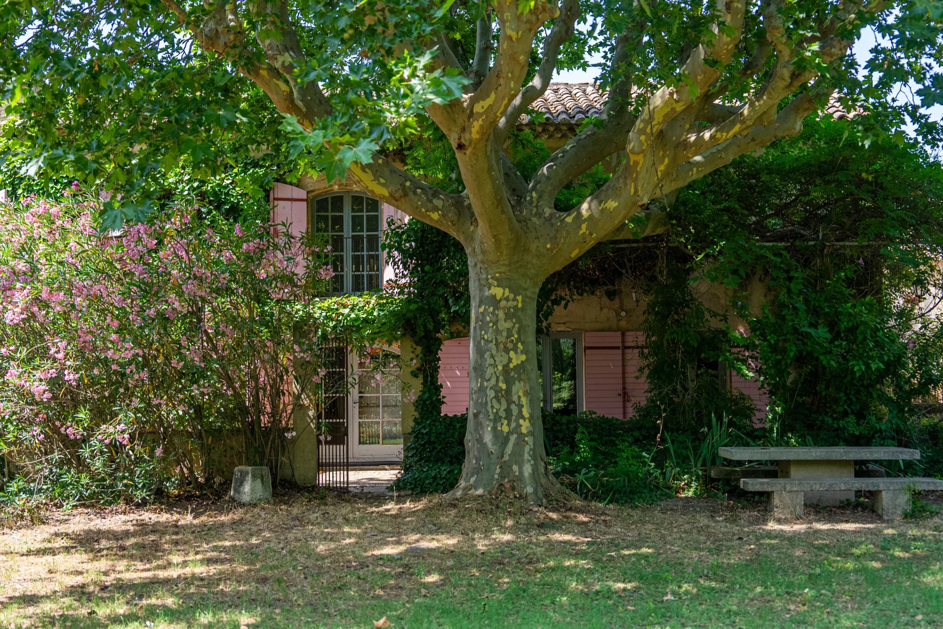 Cascina Taillades - picture 3