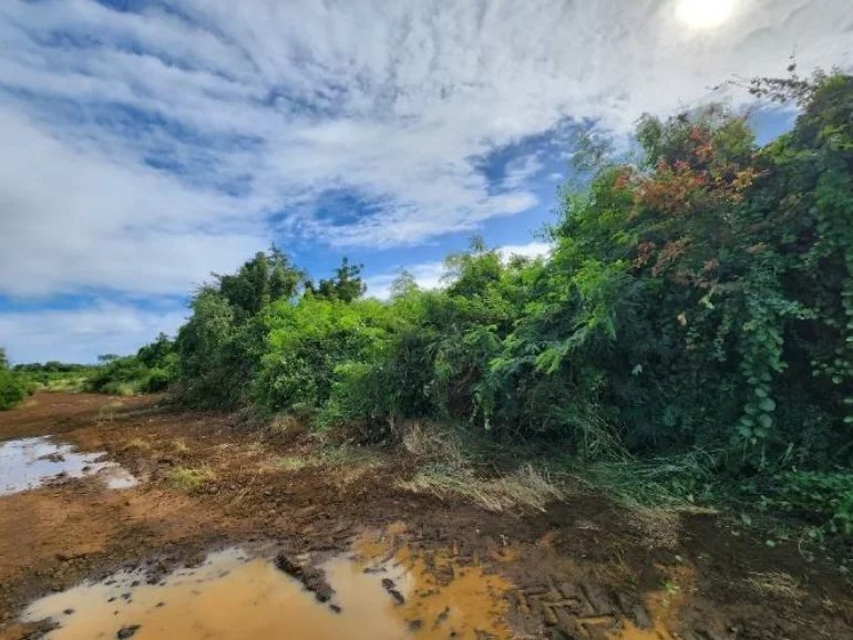 SAINT ANTOINE – Freehold Residential Land of 5,408 m²