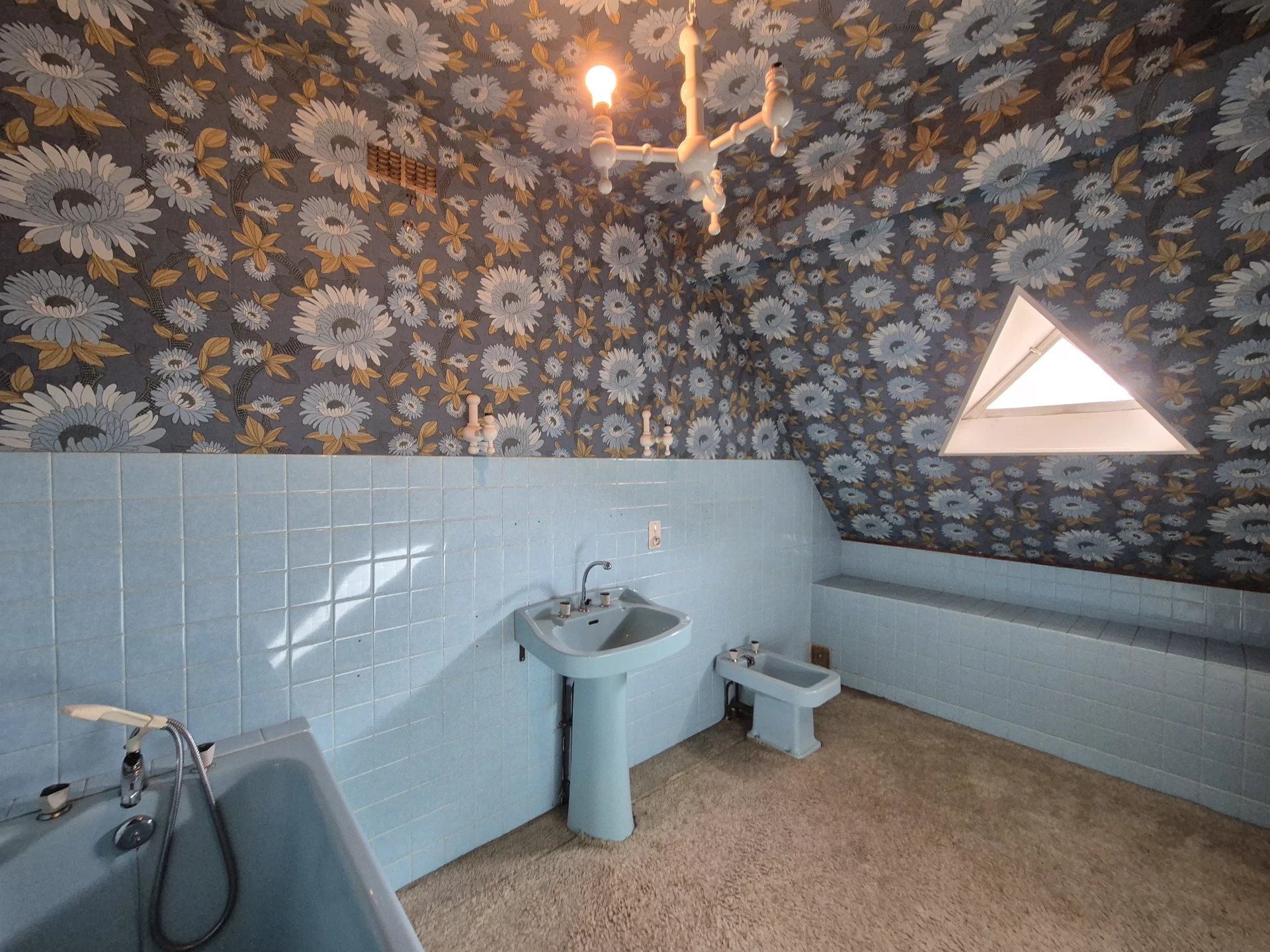 Vente Maison Mayenne