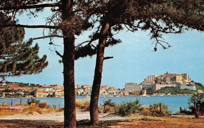 Maison à vendre, 2 pièces, 44 m², Calvi