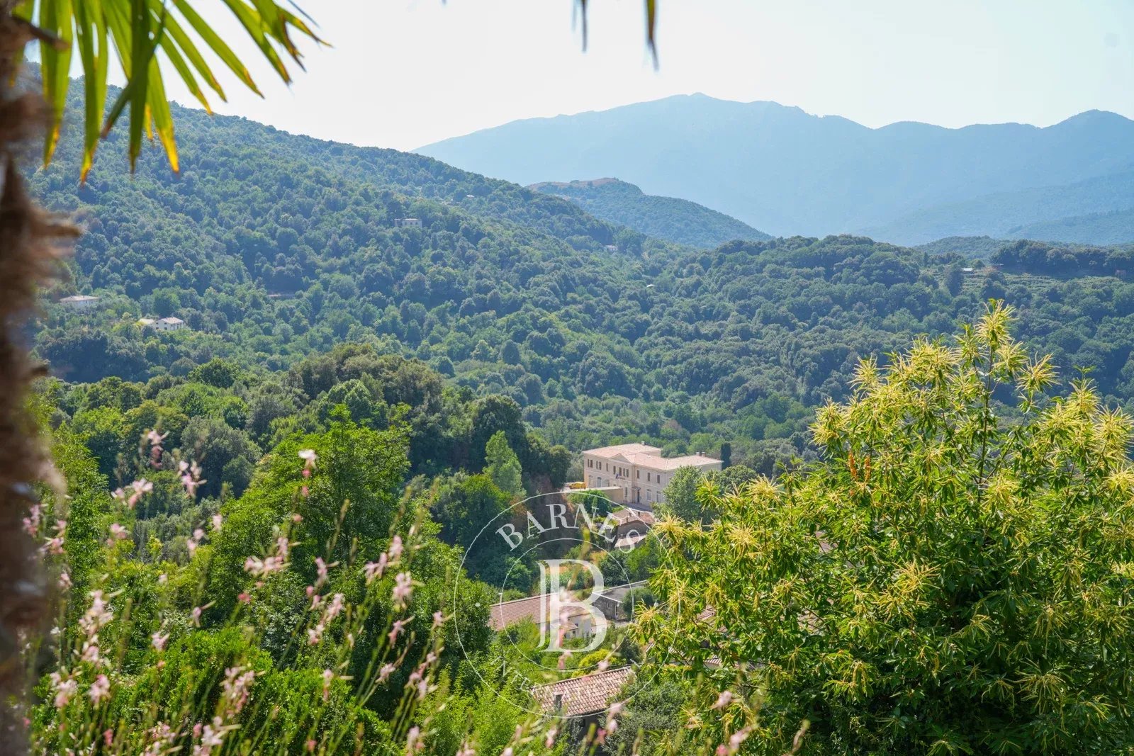 Ucciani, 3-Bedroom Villa with Panoramic Mountain Views - picture 9