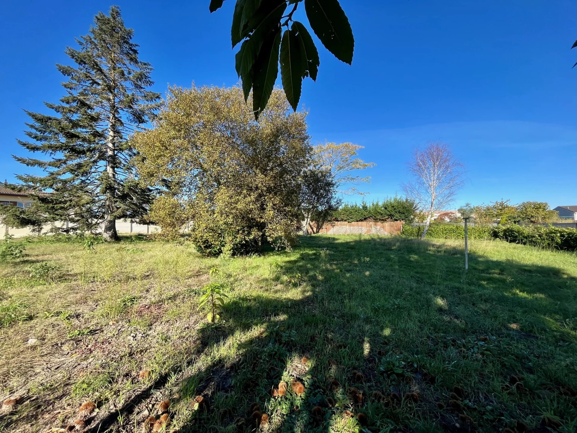 Vente Terrain Martillac
