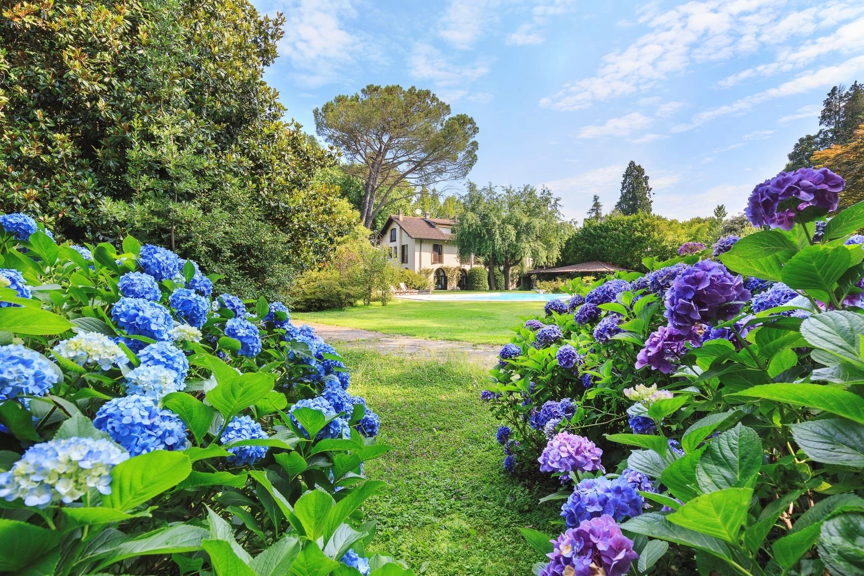 Villa in the Ticino National Park. Lake Maggiore - picture 8 title=