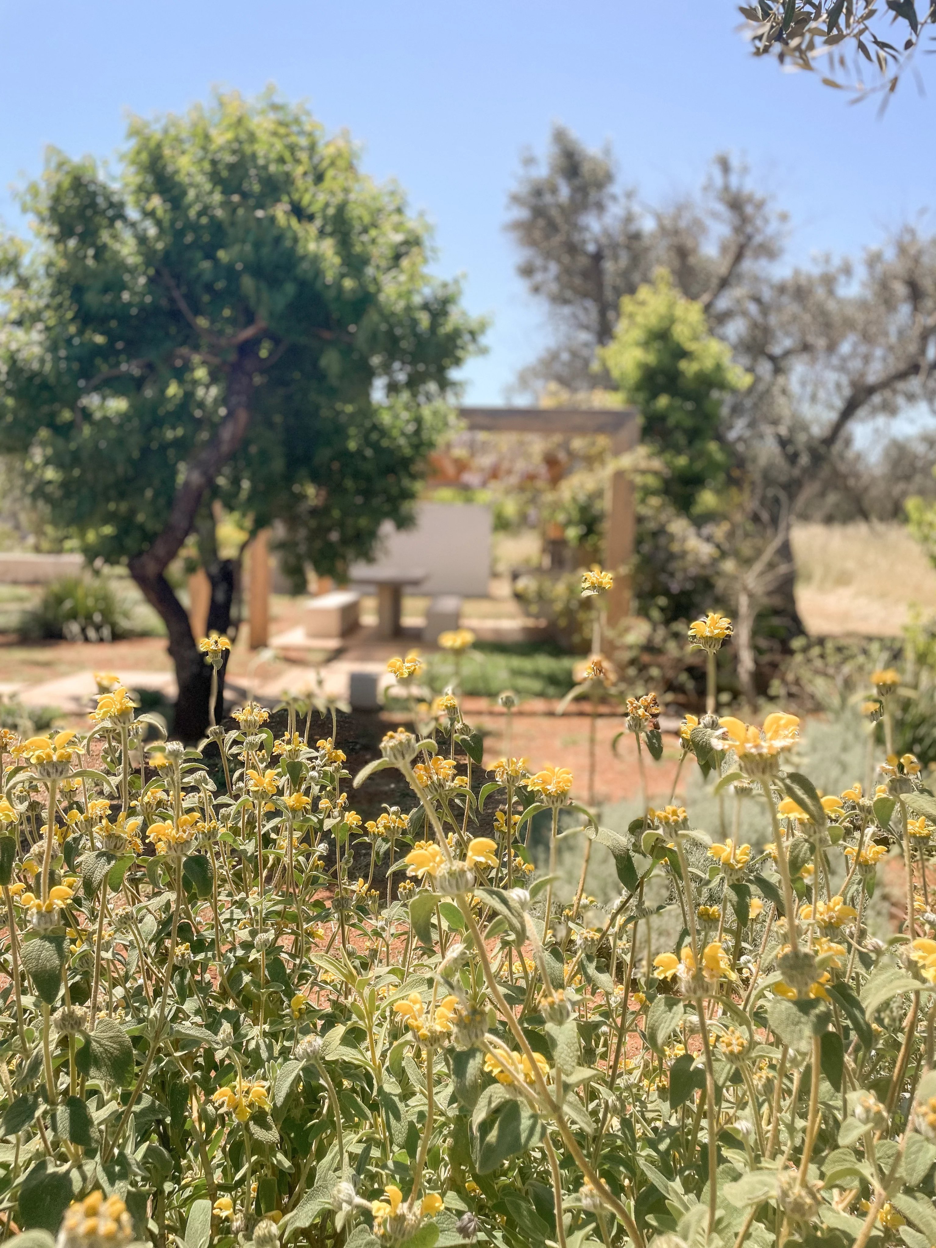 Venta Villa San Vito dei Normanni
