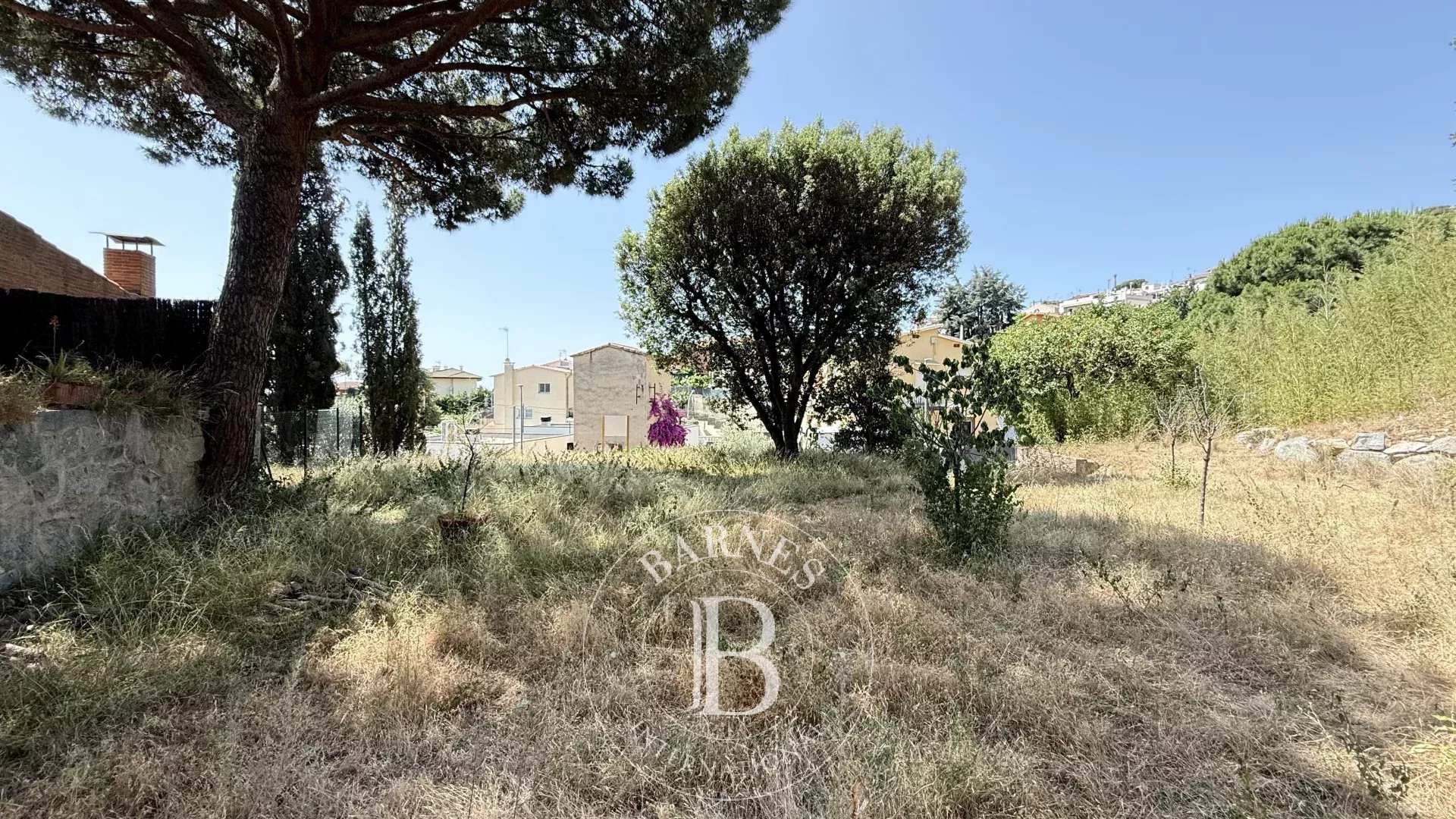 Arazi Premia de Dalt - picture 6