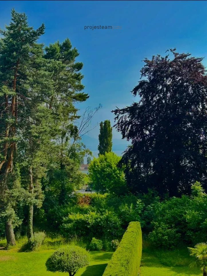 4.5 pièces — Préverenges — Photo 3