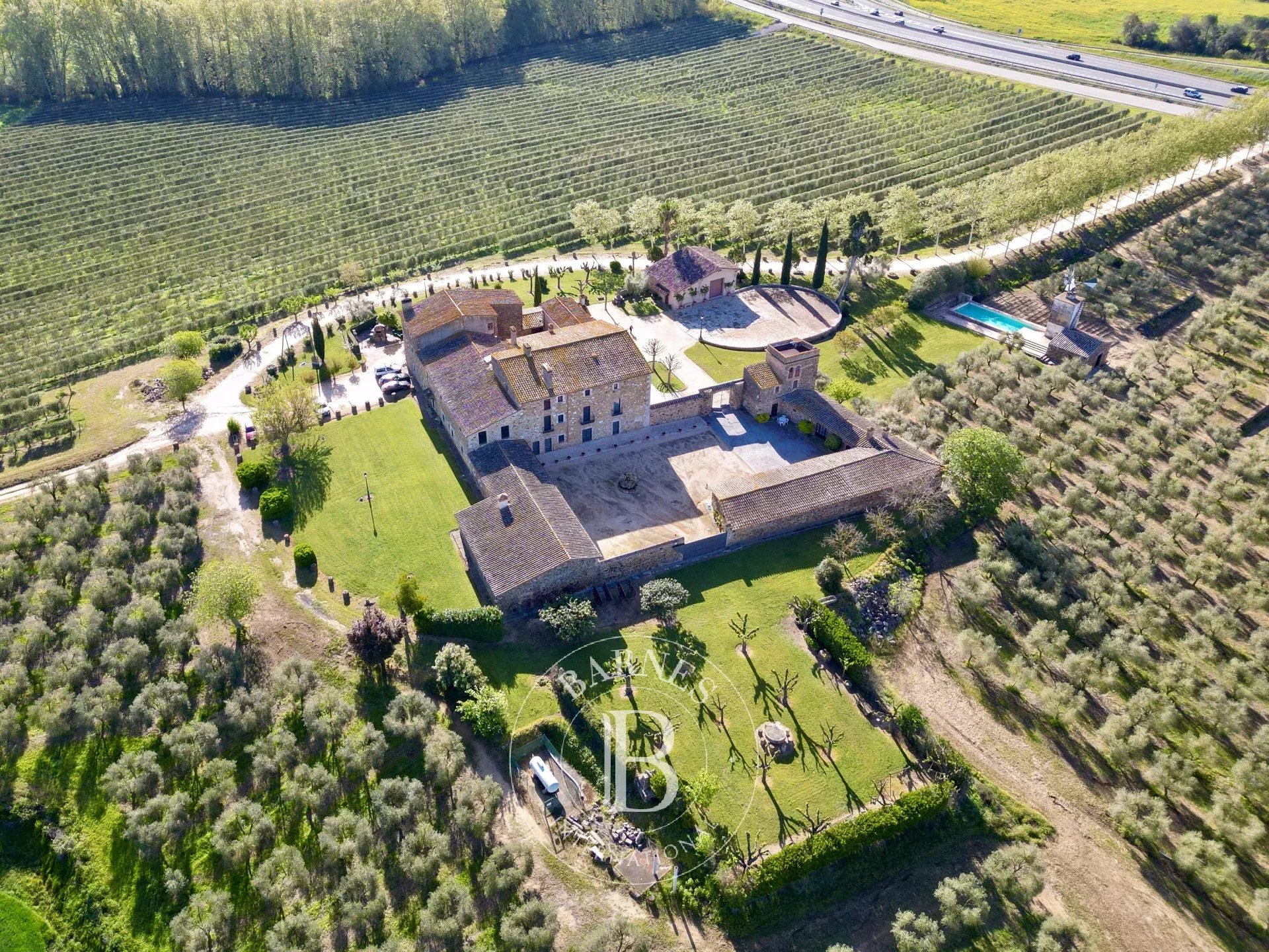 Çiftlik Llagostera - picture 24