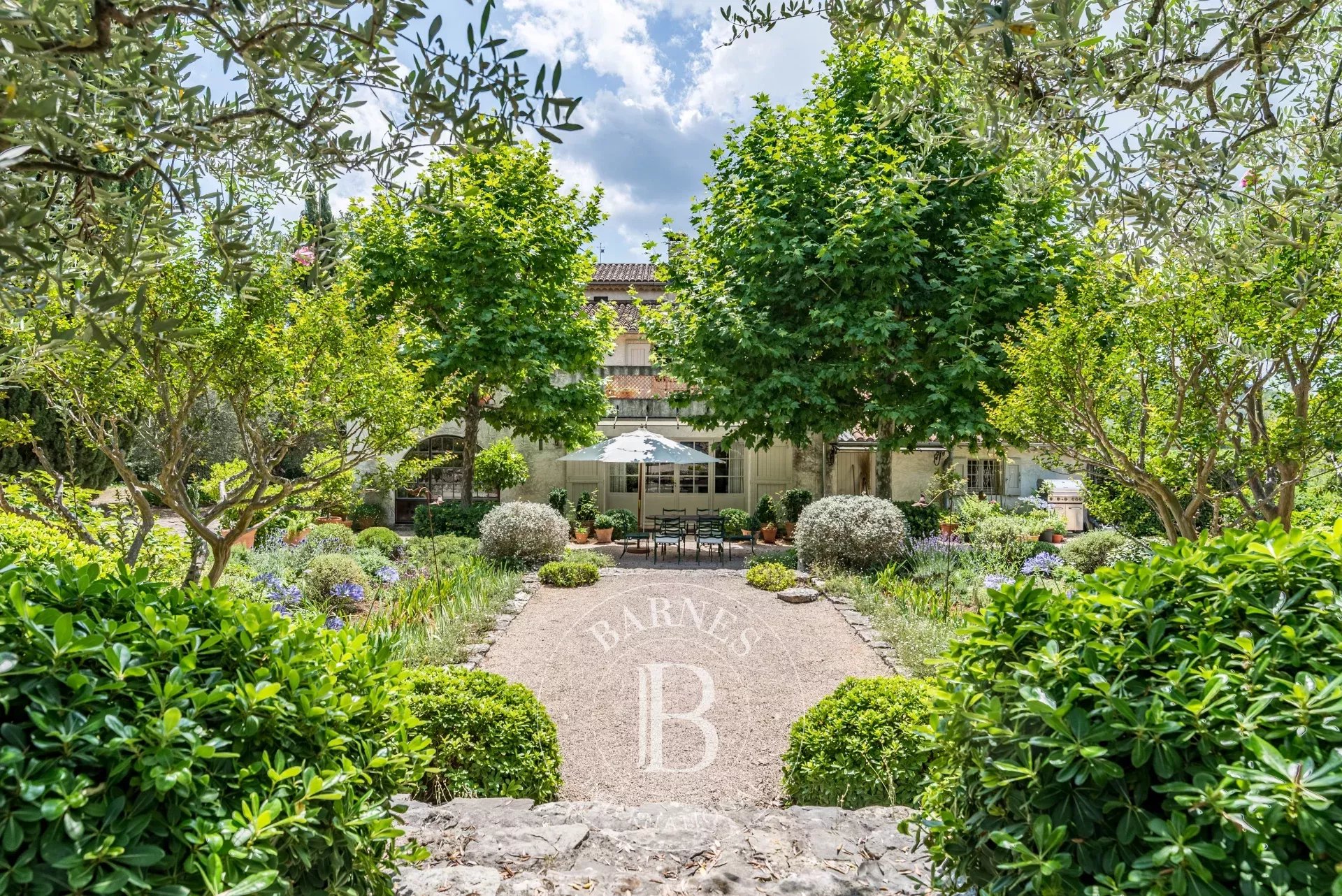 Ev Grasse - picture 4