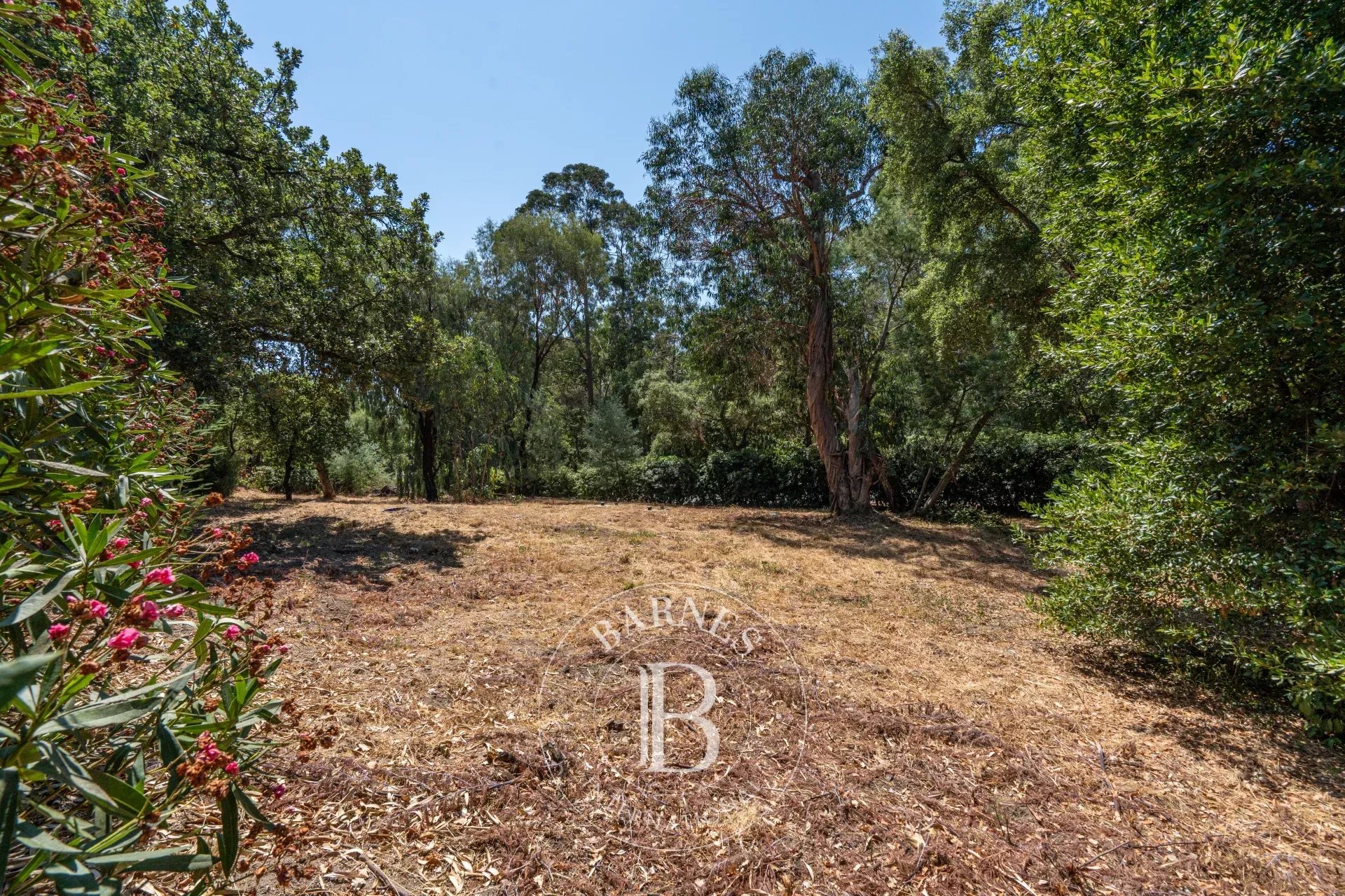 GRIMAUD – Beauvallon Bartole – Rare Building Plot with Approved Permit - picture 5