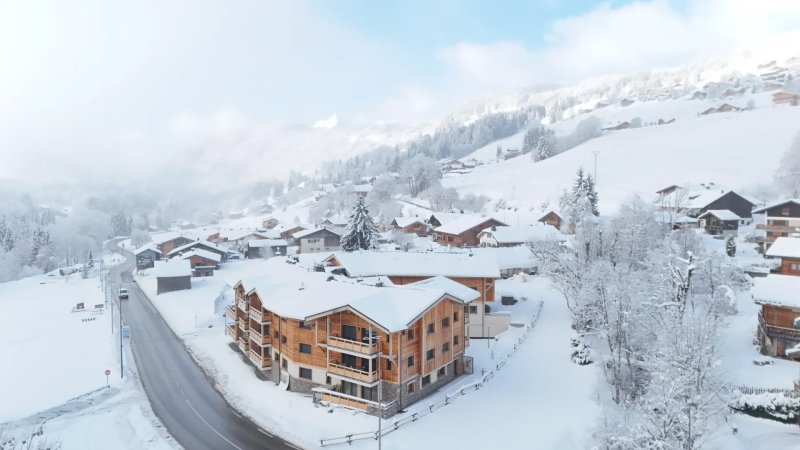 Neue Entwicklung Les Gets - picture 3