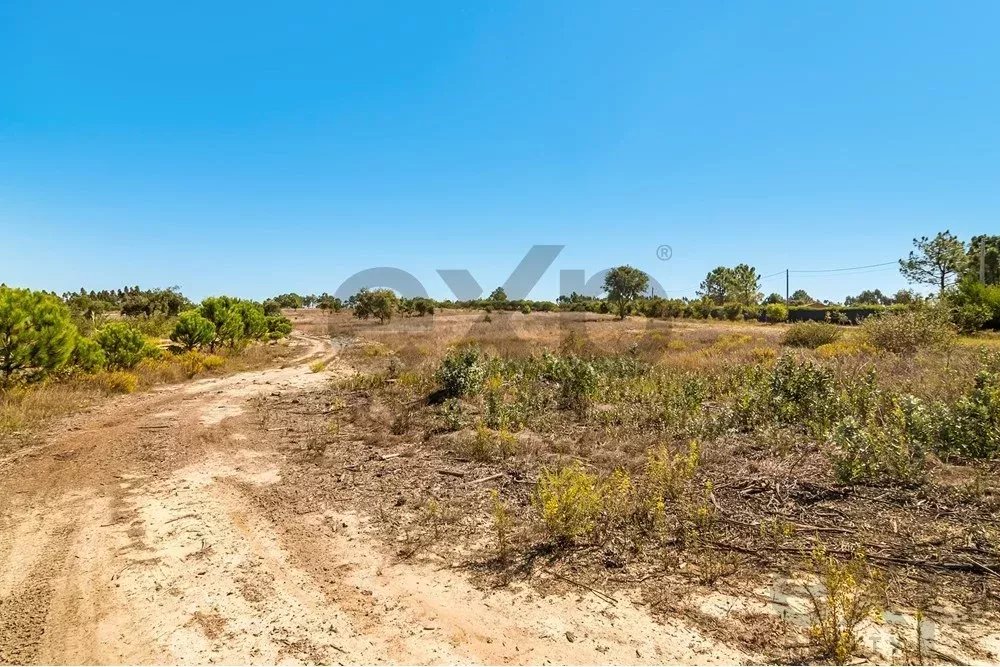 Unmissable Investment in Odemira 85507464 image 13