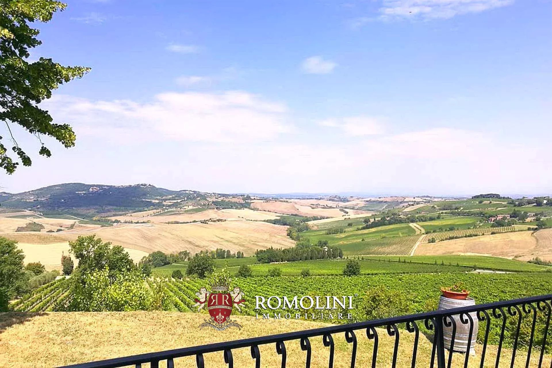 7 Bedroom Vineyard's Image 14