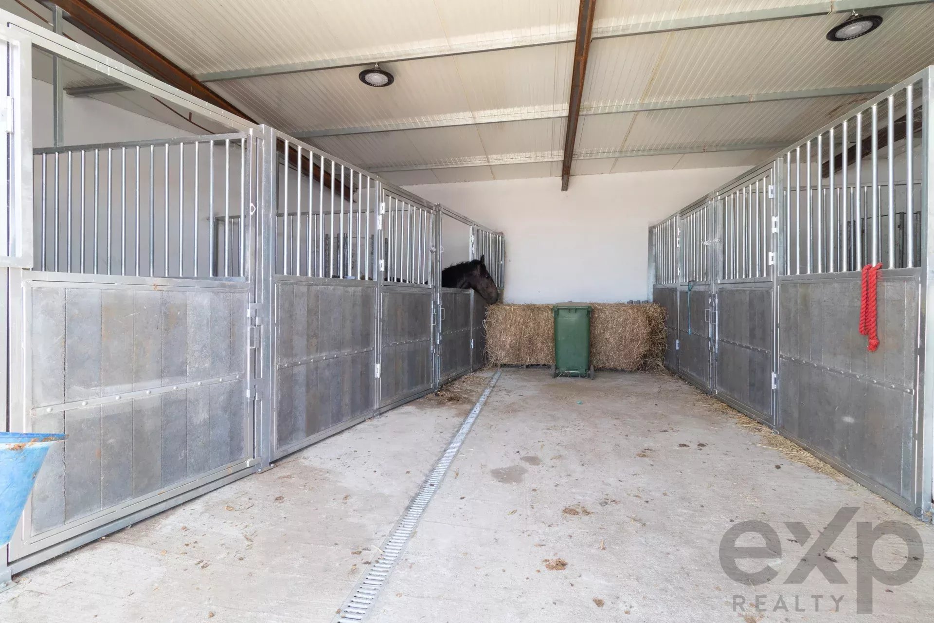 Luxury Equestrian Property + Guest House 85992157 image 22