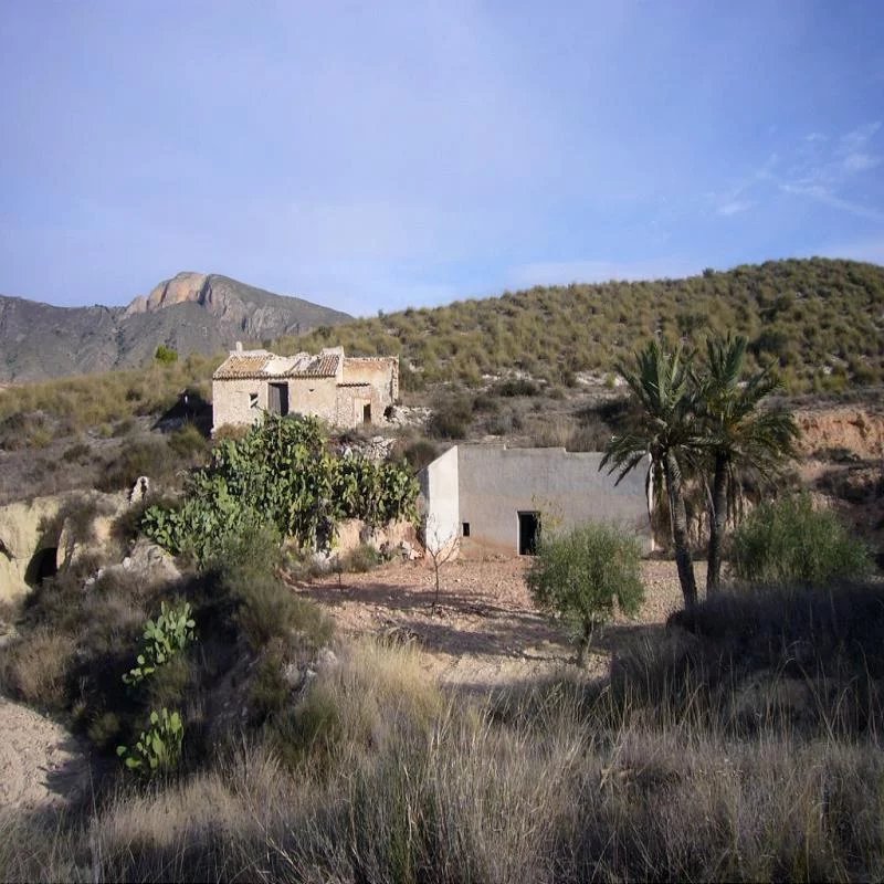 Vente Appartement Macisvenda