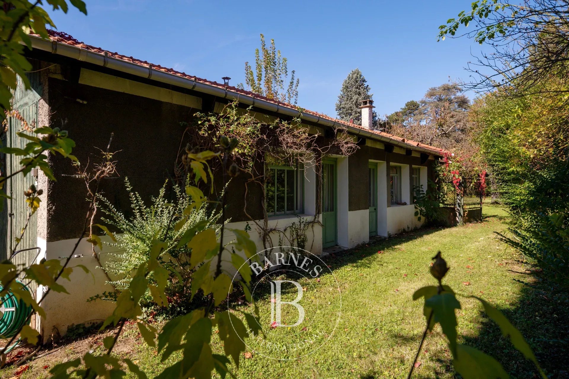 Ev Tassin-la-Demi-Lune - picture 13