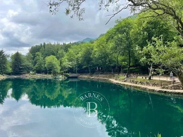 Malikane Valganna - picture 24