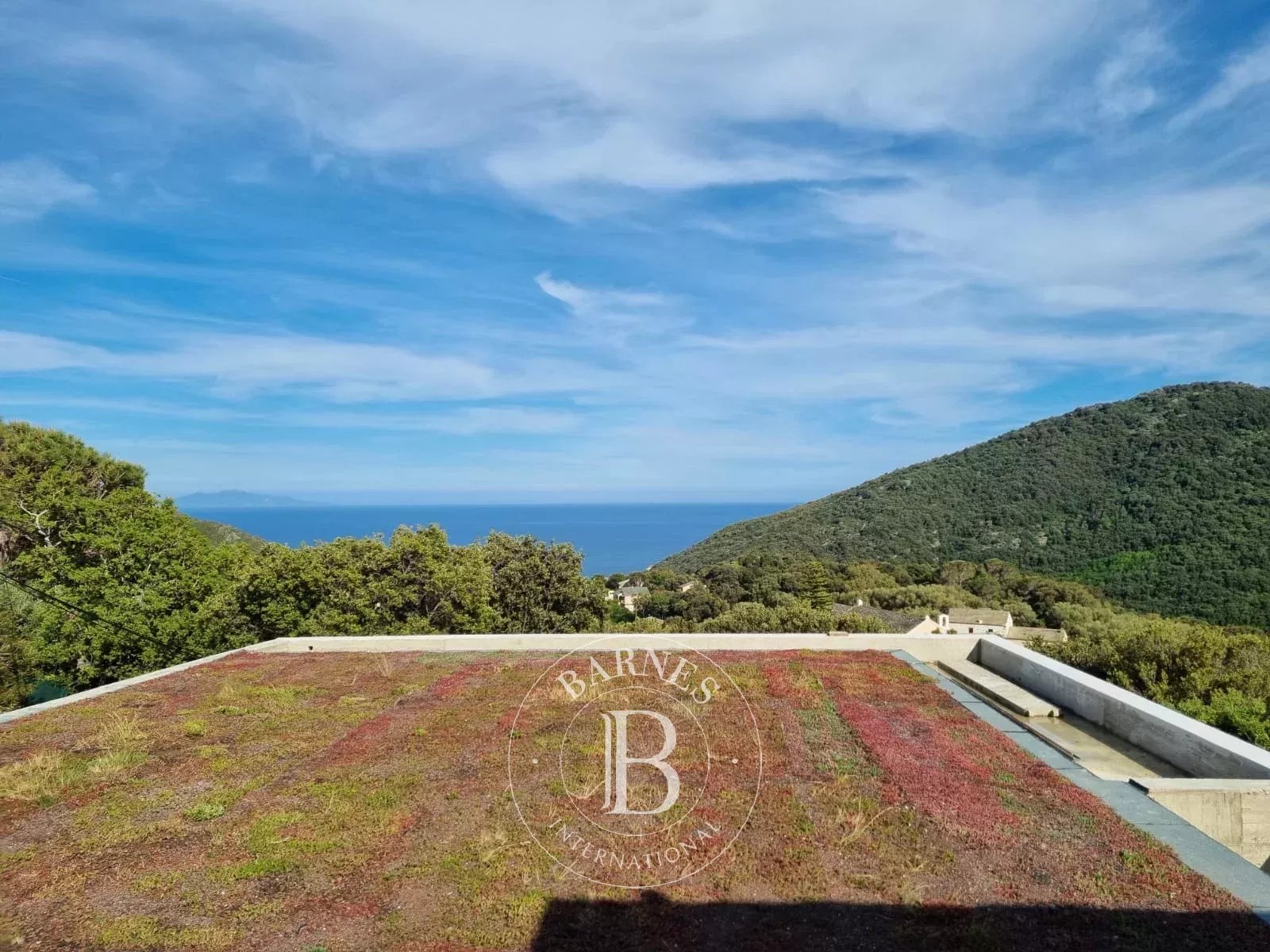 Villa Bastia - picture 23